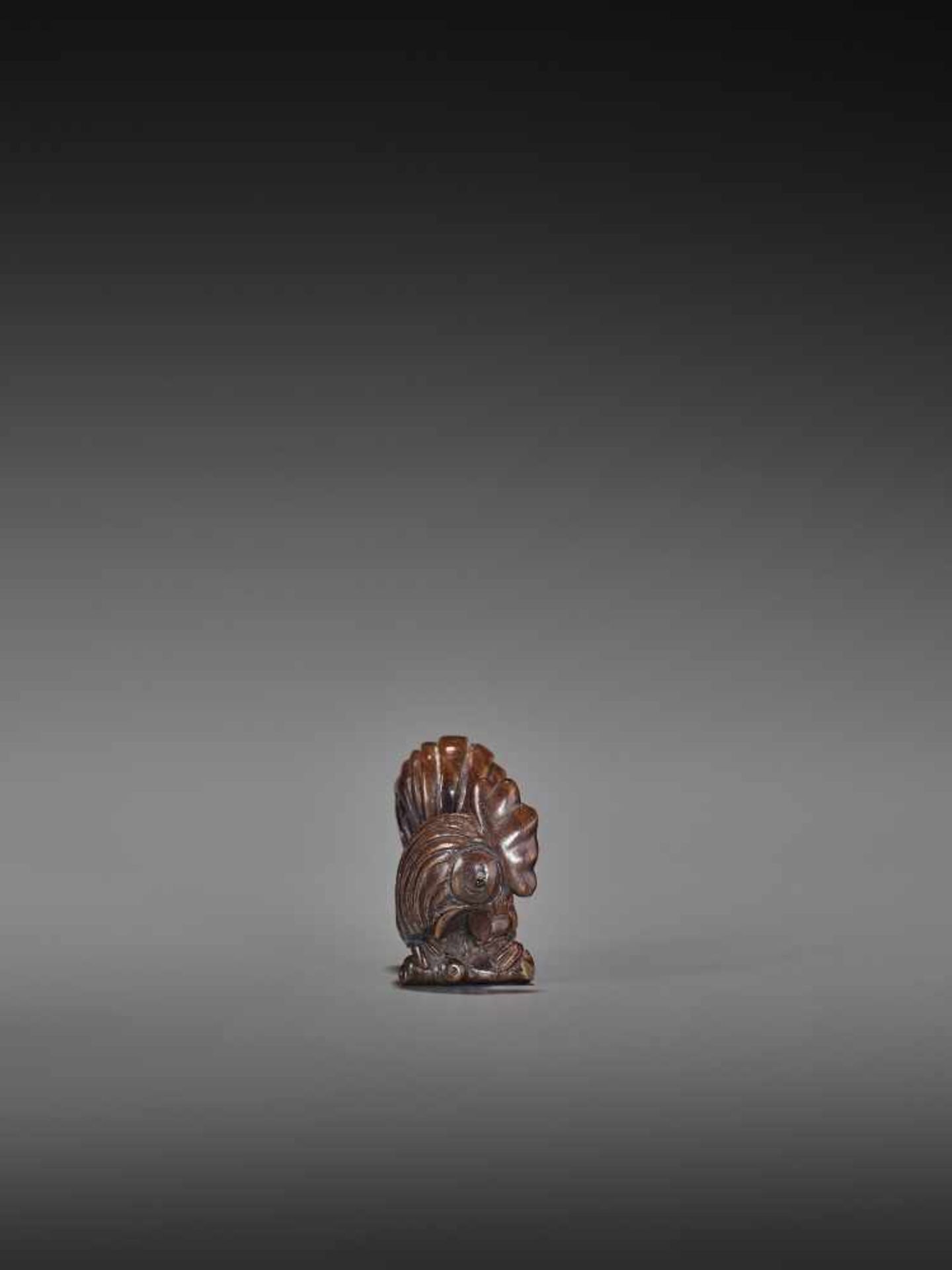 TOMOKAZU: WOOD NETSUKE OF A COCKEREL ON A BRANCH Inscribed TomokazuJapan, late 19th to 20th centuryA - Bild 6 aus 9