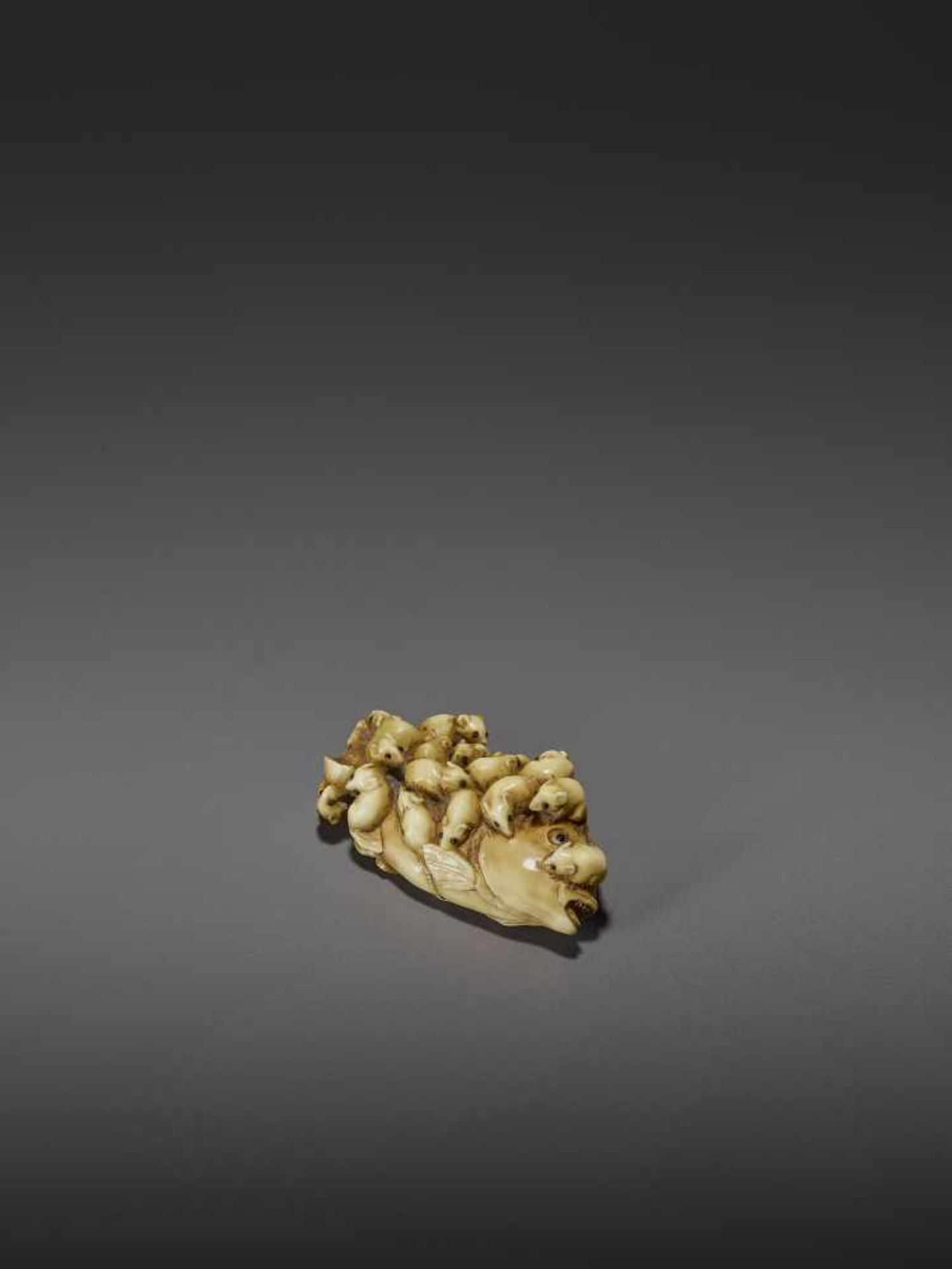 MASAMITSU: A FINE IVORY NETSUKE OF A SWARM OF RATS ON A SEA BREAM By Masamitsu, signed