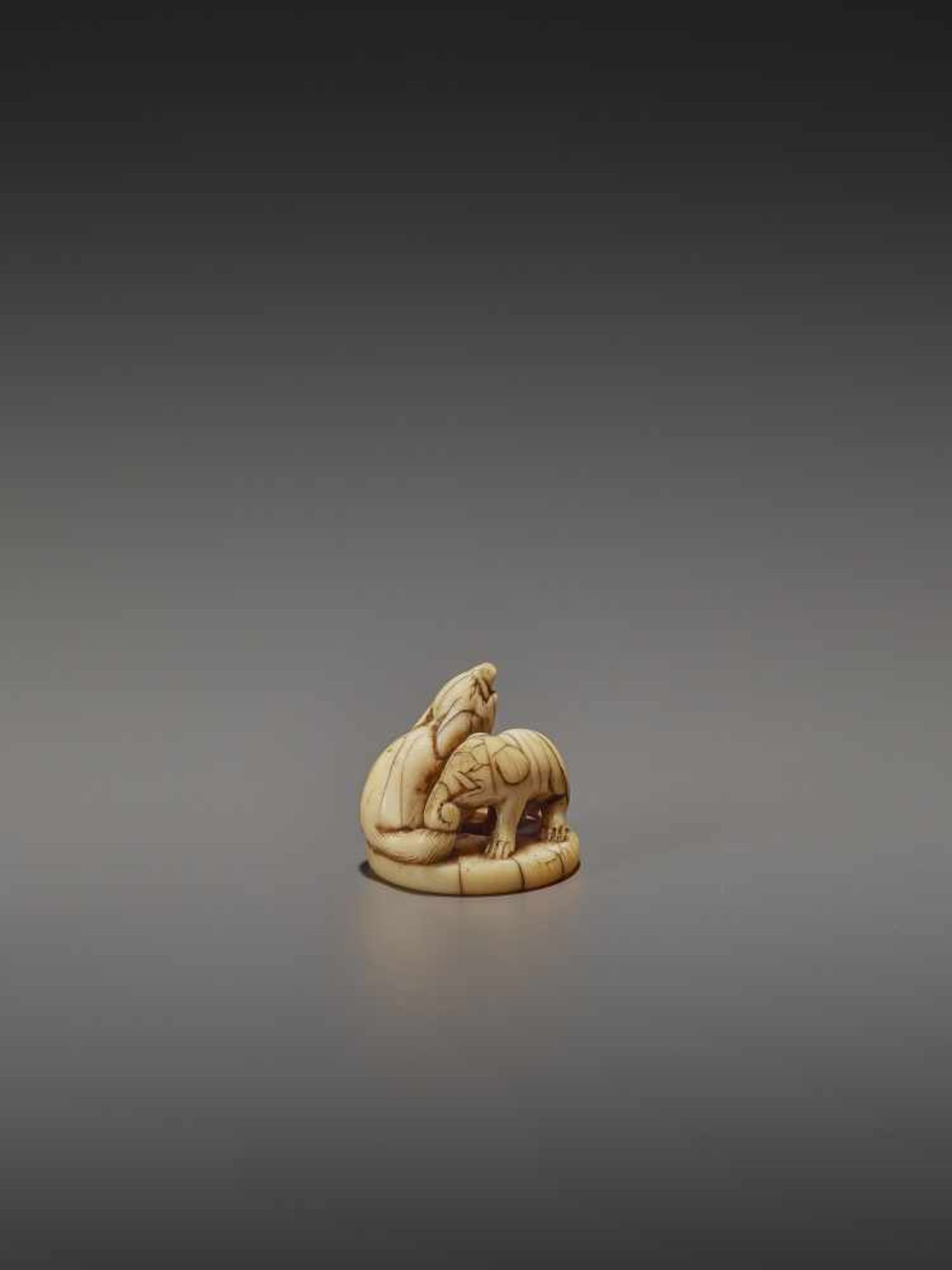 A RARE AND EARLY IVORY NETSUKE OF AN ELEPHANT AND BAKU UnsignedJapan, early 18th century, Edo period - Image 8 of 9