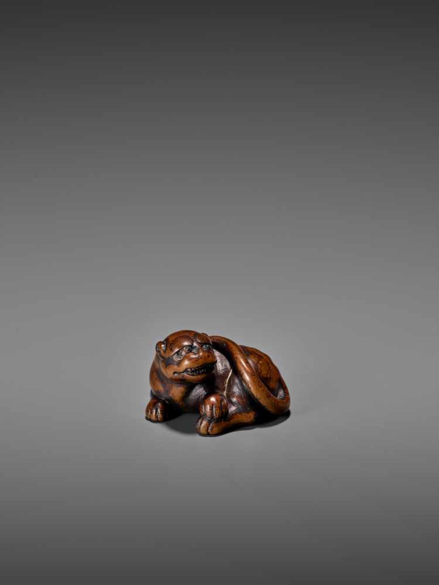 AN AMUSING WOOD NETSUKE OF A RECUMBENT TIGER UnsignedJapan, early 19th century, Edo period (1615- - Image 7 of 9