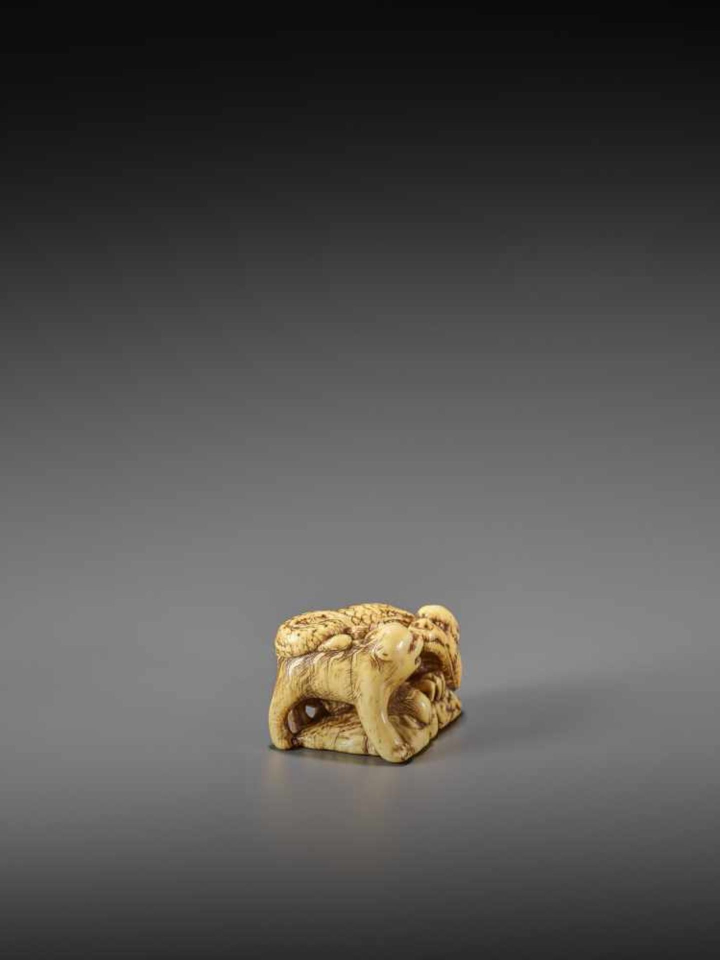 MINSEI: A POWERFUL IVORY NETSUKE OF A CONFRONTING DRAGON AND TIGER By Minsei, signed MinseiJapan, - Image 6 of 10