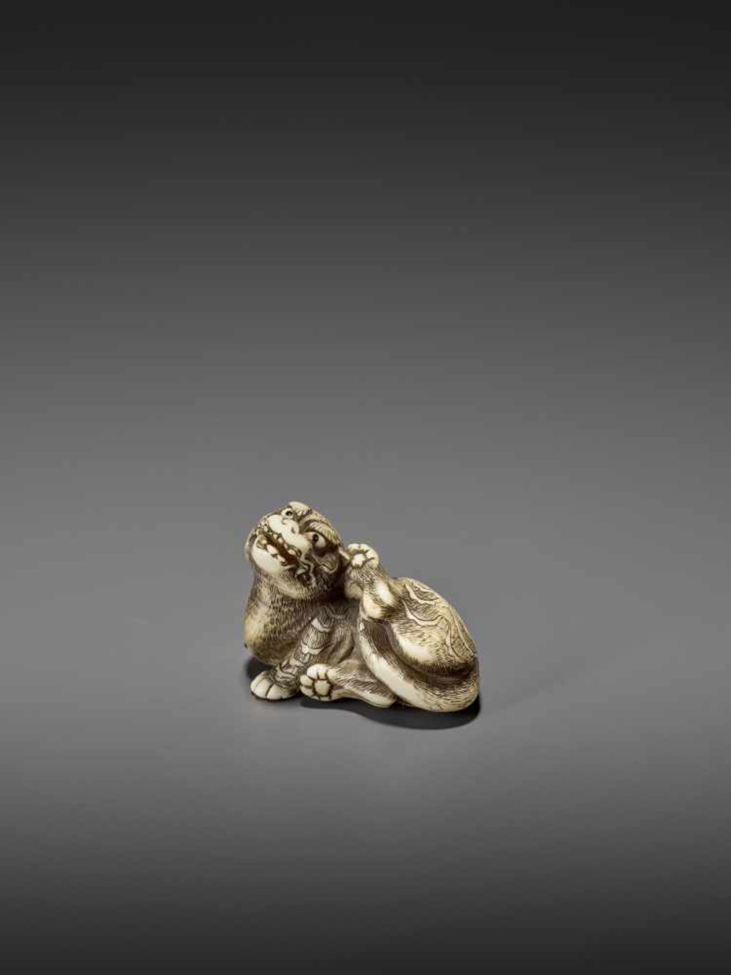 A FINE IVORY NETSUKE OF A RECUMBENT TIGER Unsigned, circle of Risuke Garaku (active ca. 1780) - Image 4 of 11