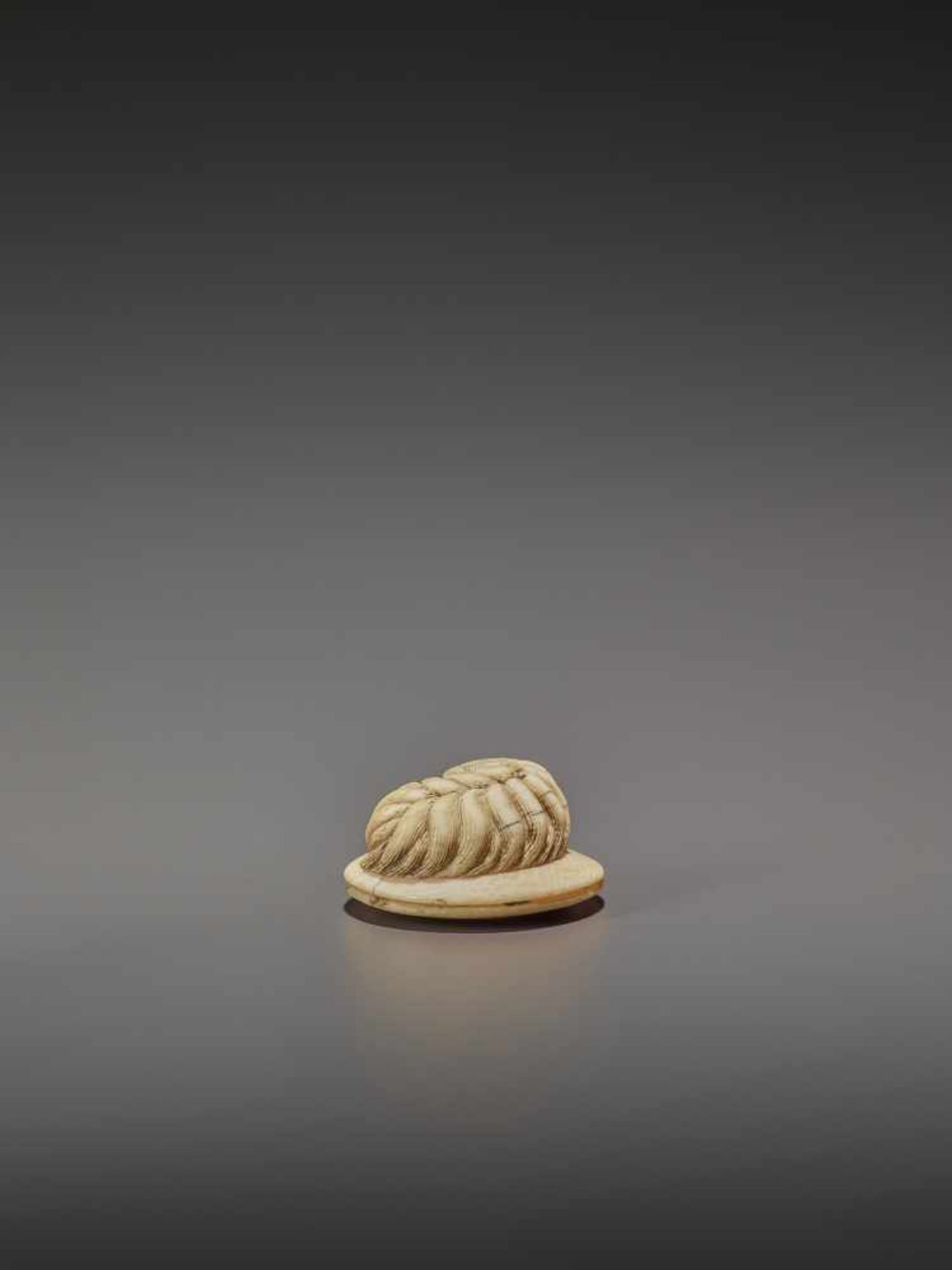 AN IVORY NETSUKE OF A SHAGGY DOG ON A ZABUTON UnsignedJapan, 19th century, Edo period (1615-1868) - Image 5 of 9