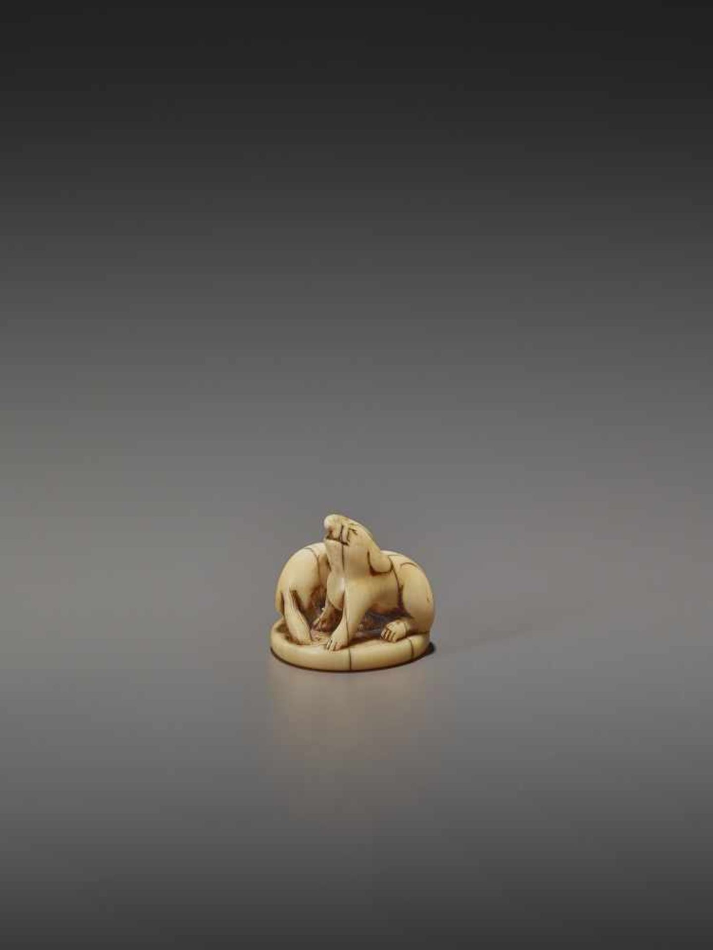 A RARE AND EARLY IVORY NETSUKE OF AN ELEPHANT AND BAKU UnsignedJapan, early 18th century, Edo period - Image 2 of 9