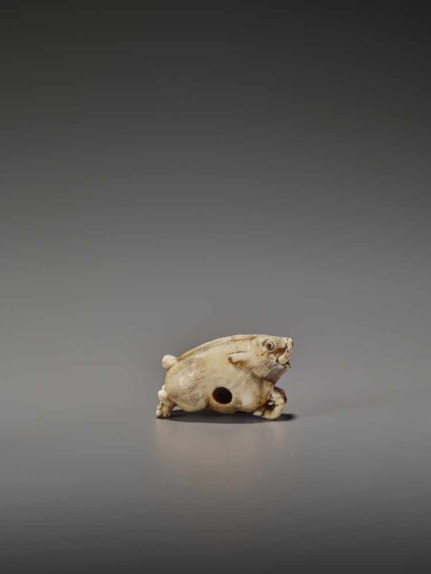 AN UNUSUAL IVORY NETSUKE OF A RUNNING BOAR UnsignedJapan, 18th century, Edo period (1615-1868)A very - Bild 6 aus 11