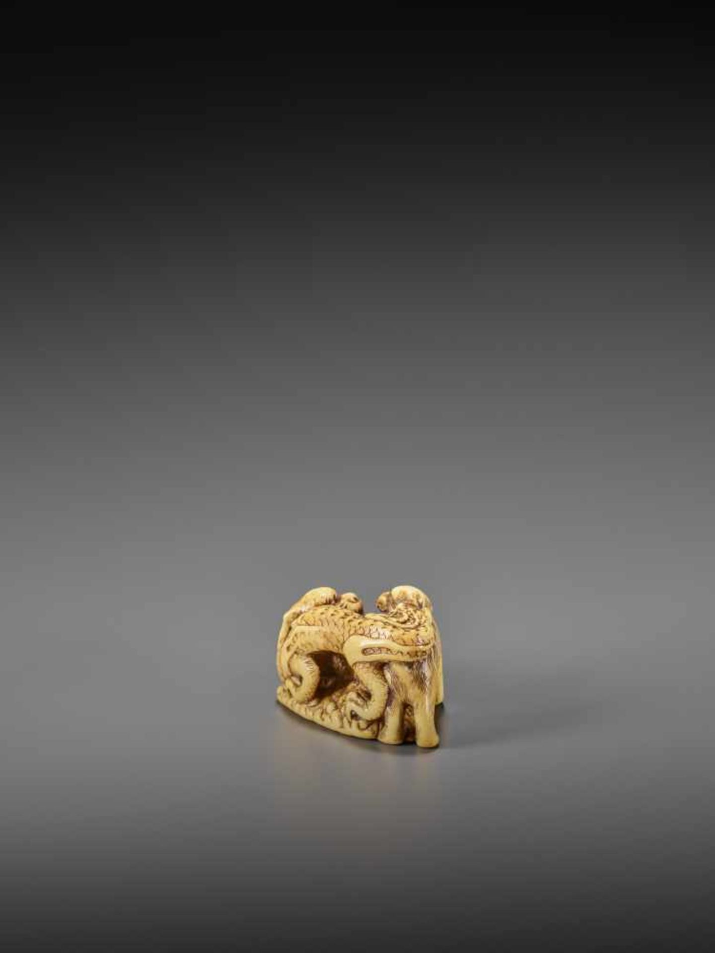 MINSEI: A POWERFUL IVORY NETSUKE OF A CONFRONTING DRAGON AND TIGER By Minsei, signed MinseiJapan, - Bild 5 aus 10