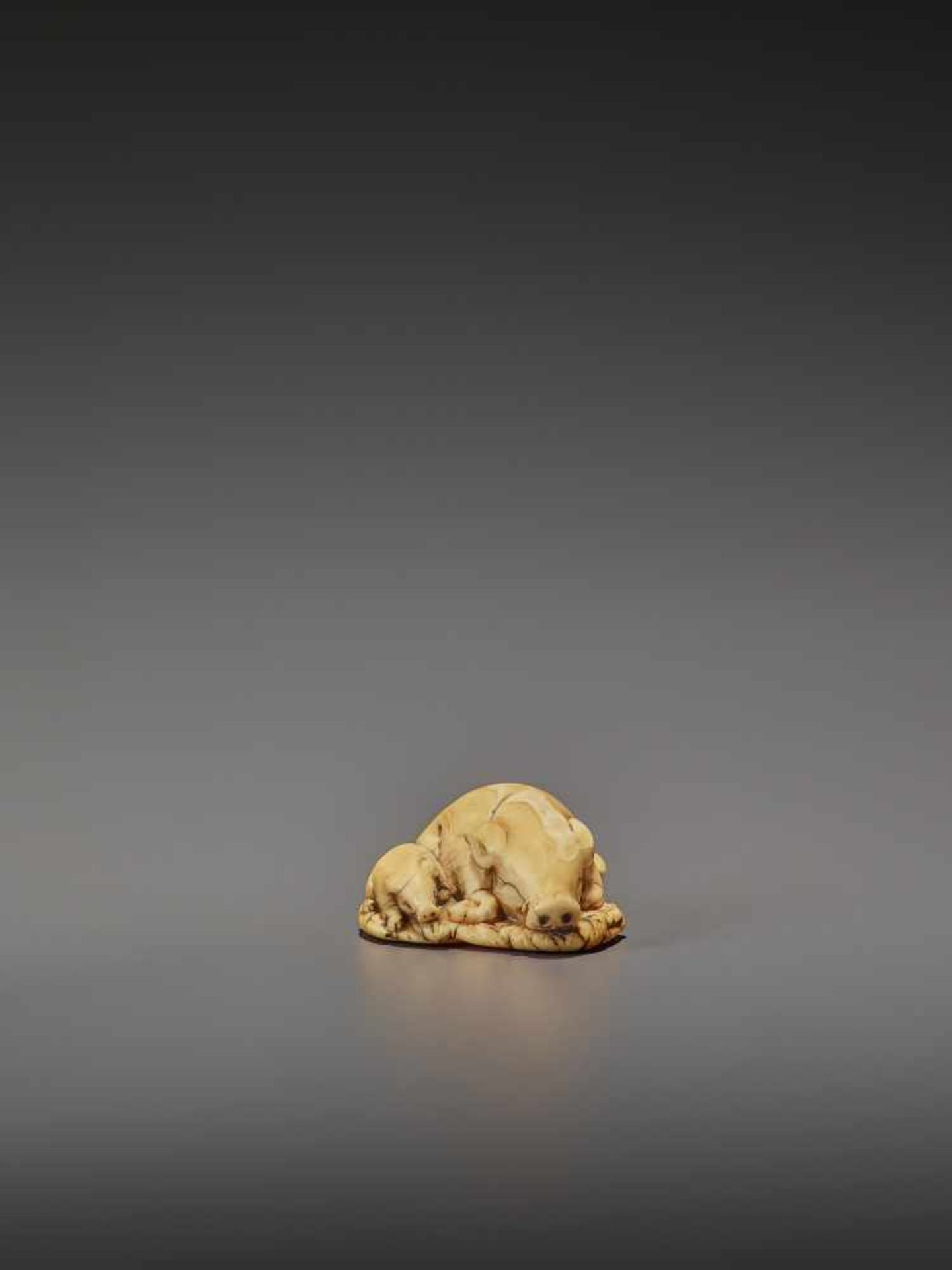 A FINE IVORY NETSUKE OF TWO RESTING BOARS UnsignedJapan, Kyoto, 18th century, Edo period (1615- - Bild 4 aus 9