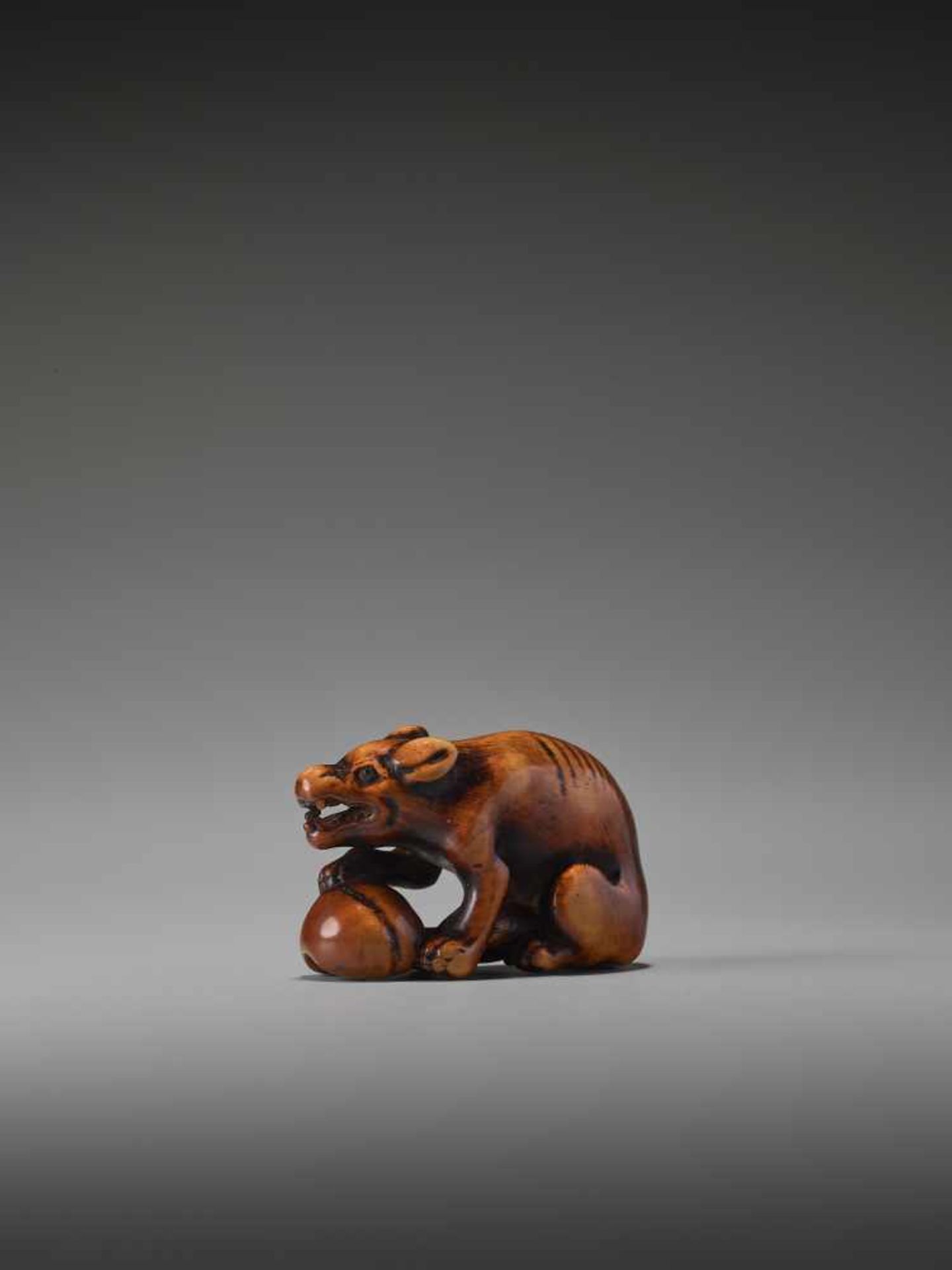 A POWERFUL WOOD NETSUKE OF A WOLF WITH A SKULL UnsignedJapan, 18th century, Edo period (1615-1868) - Image 2 of 9