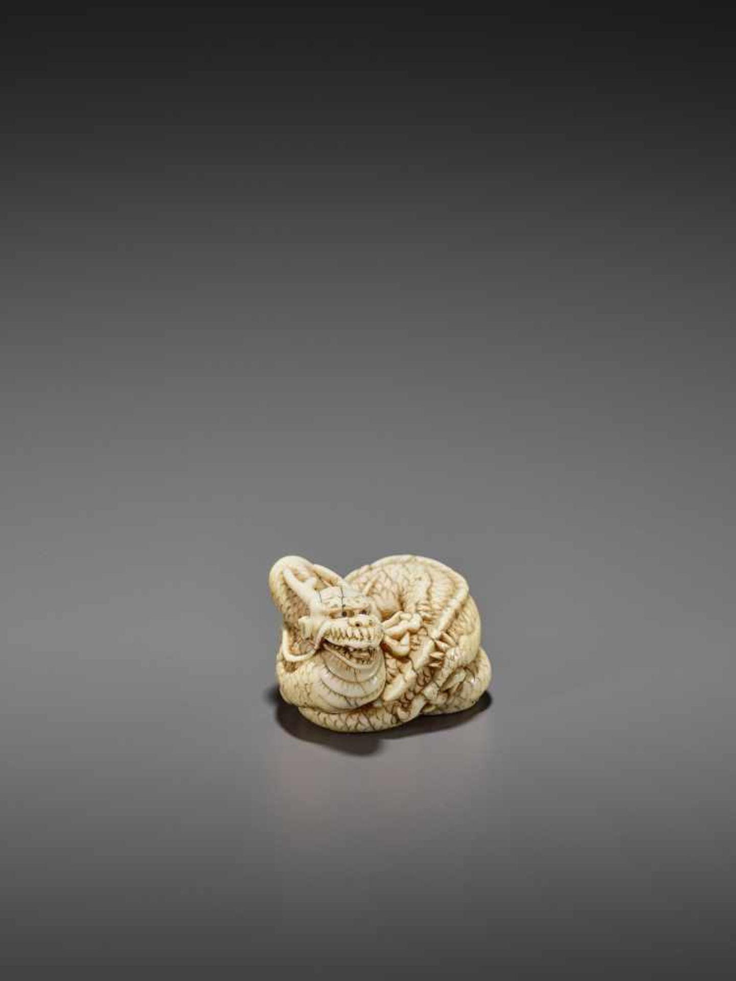 A GOOD IVORY NETSUKE OF A COILED DRAGON UnsignedJapan, Kyoto, late 18th to early 19th century, Edo - Image 9 of 10