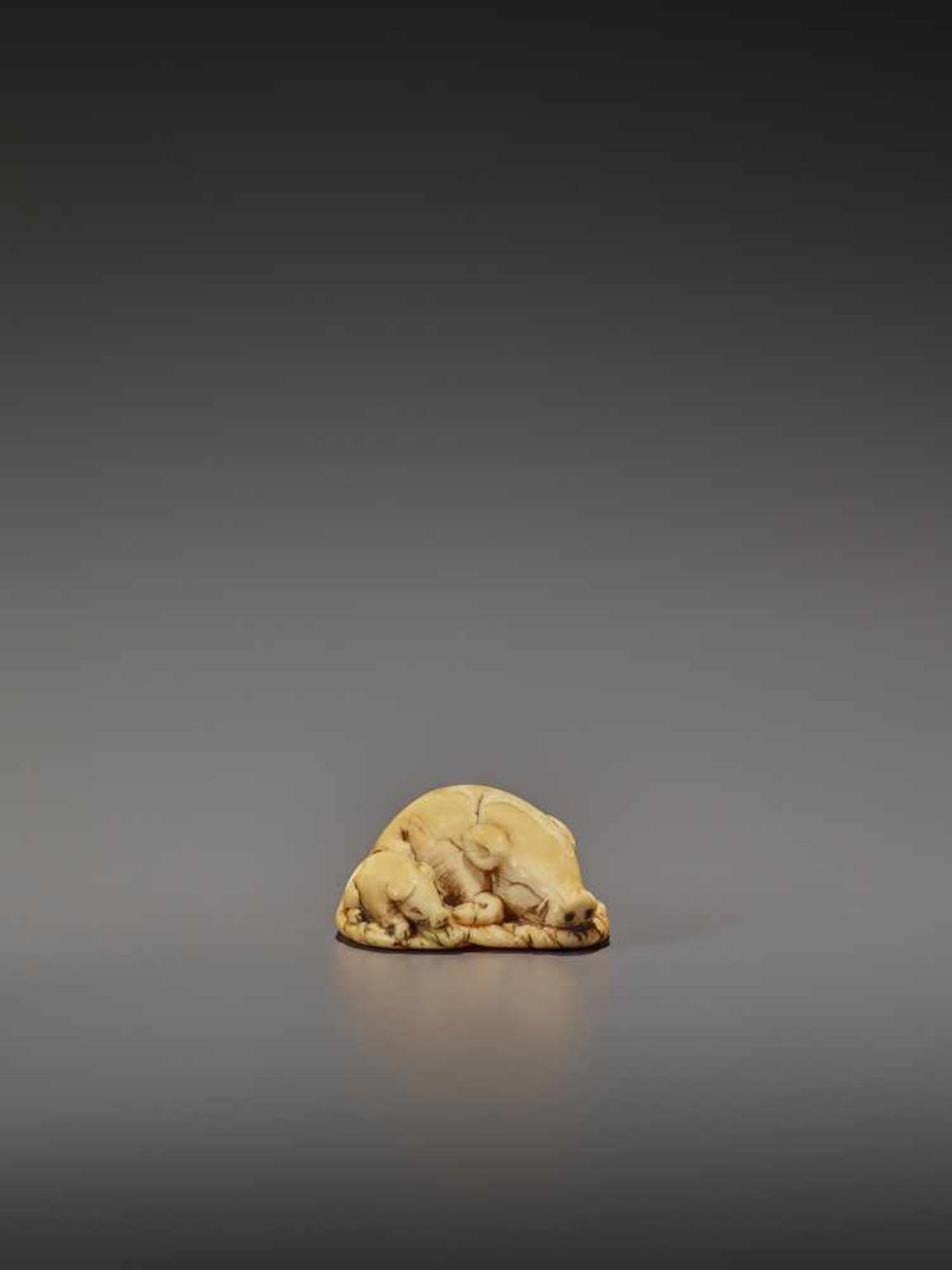 A FINE IVORY NETSUKE OF TWO RESTING BOARS UnsignedJapan, Kyoto, 18th century, Edo period (1615-