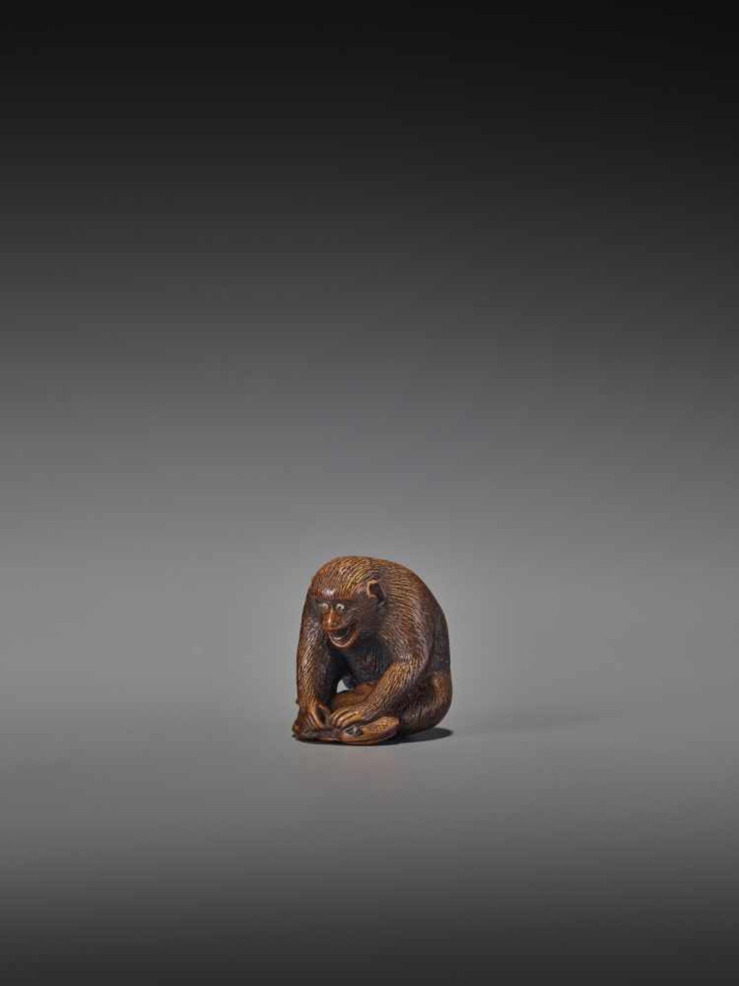 AN AMUSING WOOD NETSUKE OF A MONKEY HOLDING DOWN A FROG UnsignedJapan, Gifu, 19th century, Edo - Bild 3 aus 9