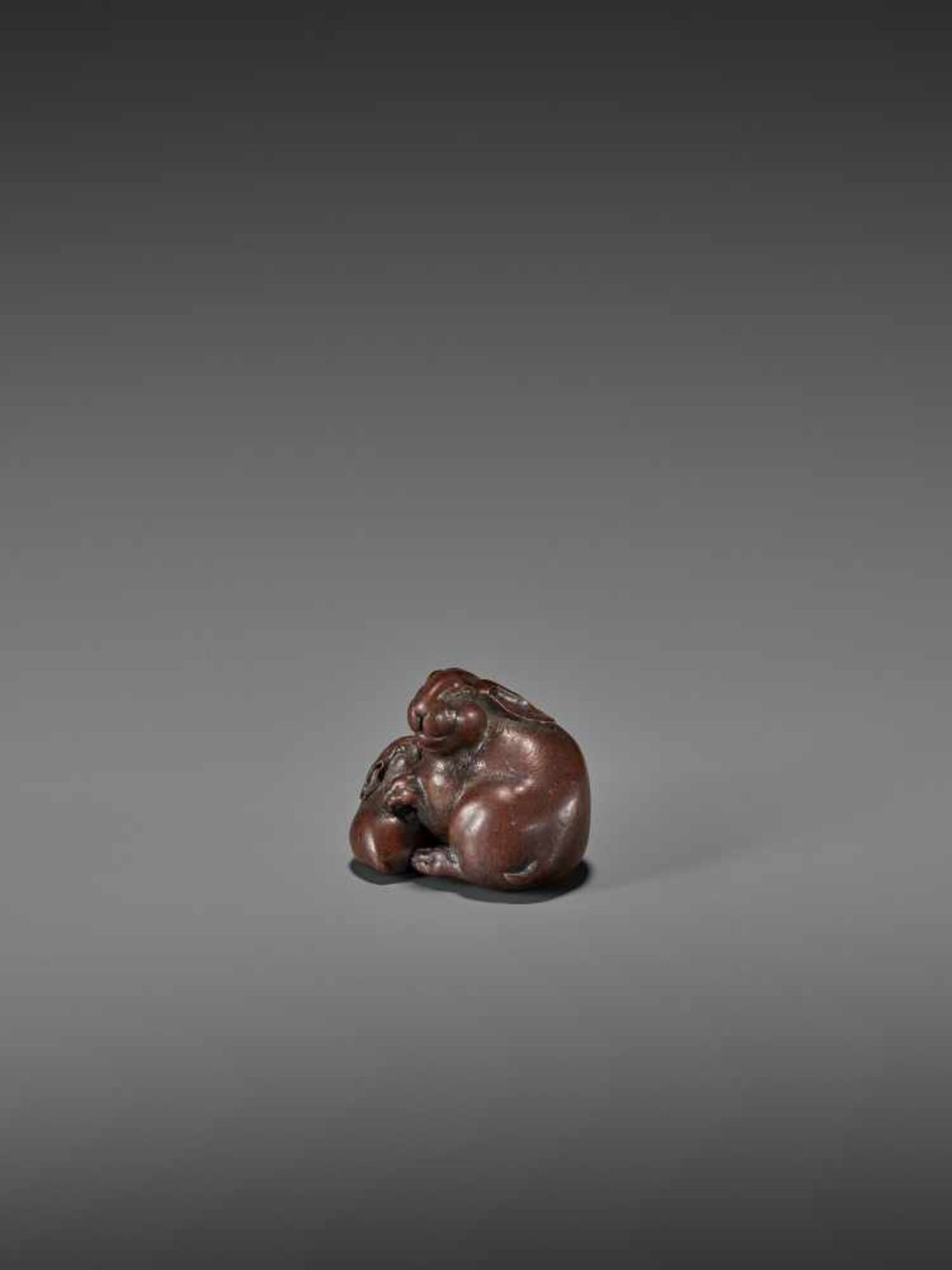 ICHIMIN: A FINE WOOD NETSUKE OF TWO RABBITS By Ichimin, signed Ichimin toJapan, Nagoya, early 19th - Image 7 of 11