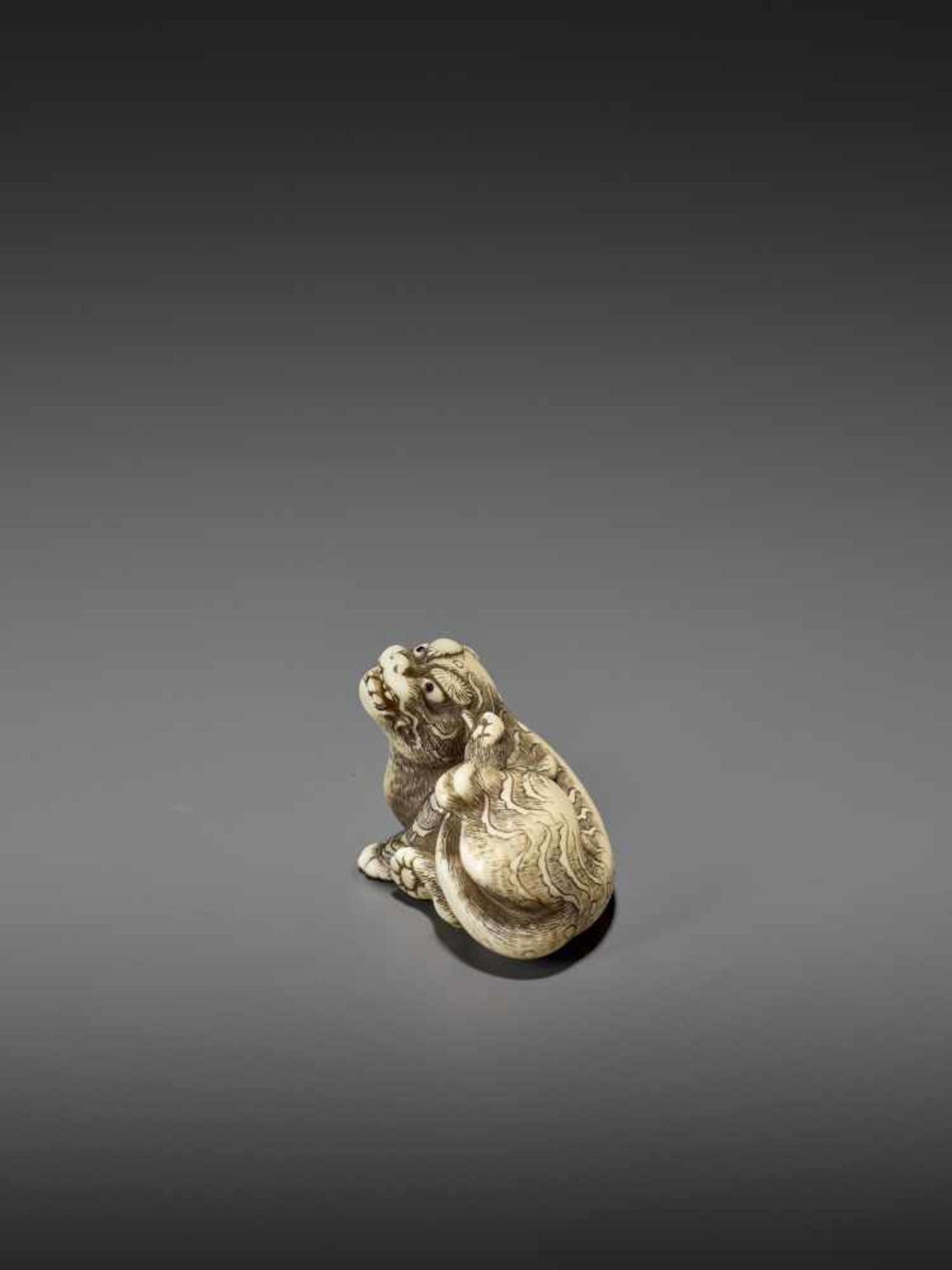 A FINE IVORY NETSUKE OF A RECUMBENT TIGER Unsigned, circle of Risuke Garaku (active ca. 1780) - Image 5 of 11