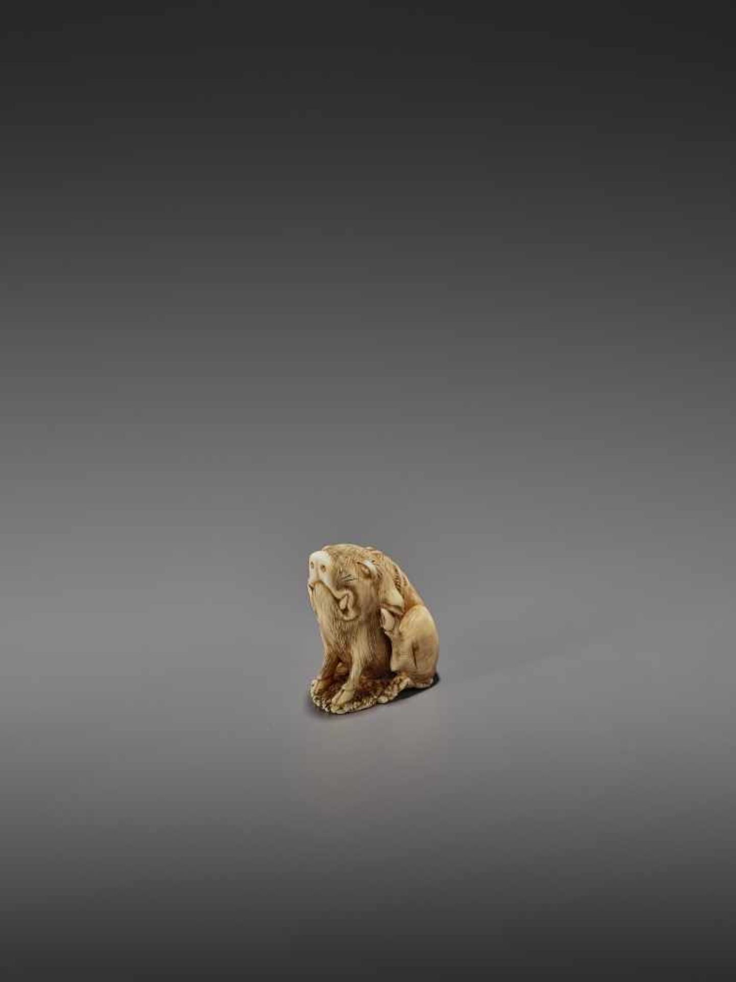 MASAYUKI: A FINE IVORY NETSUKE OF A BOAR SCRATCHING ITS EAR By Masayuki, signed MasayukiJapan, - Bild 10 aus 13