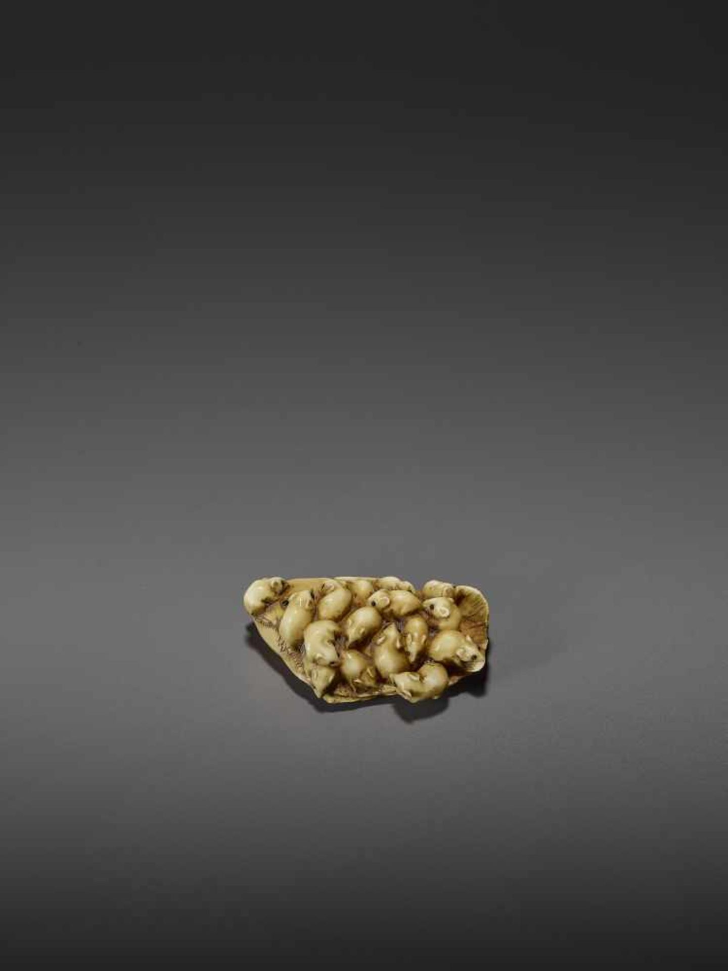 MASAMITSU: A FINE IVORY NETSUKE OF A SWARM OF RATS ON A SEA BREAM By Masamitsu, signed - Image 6 of 11