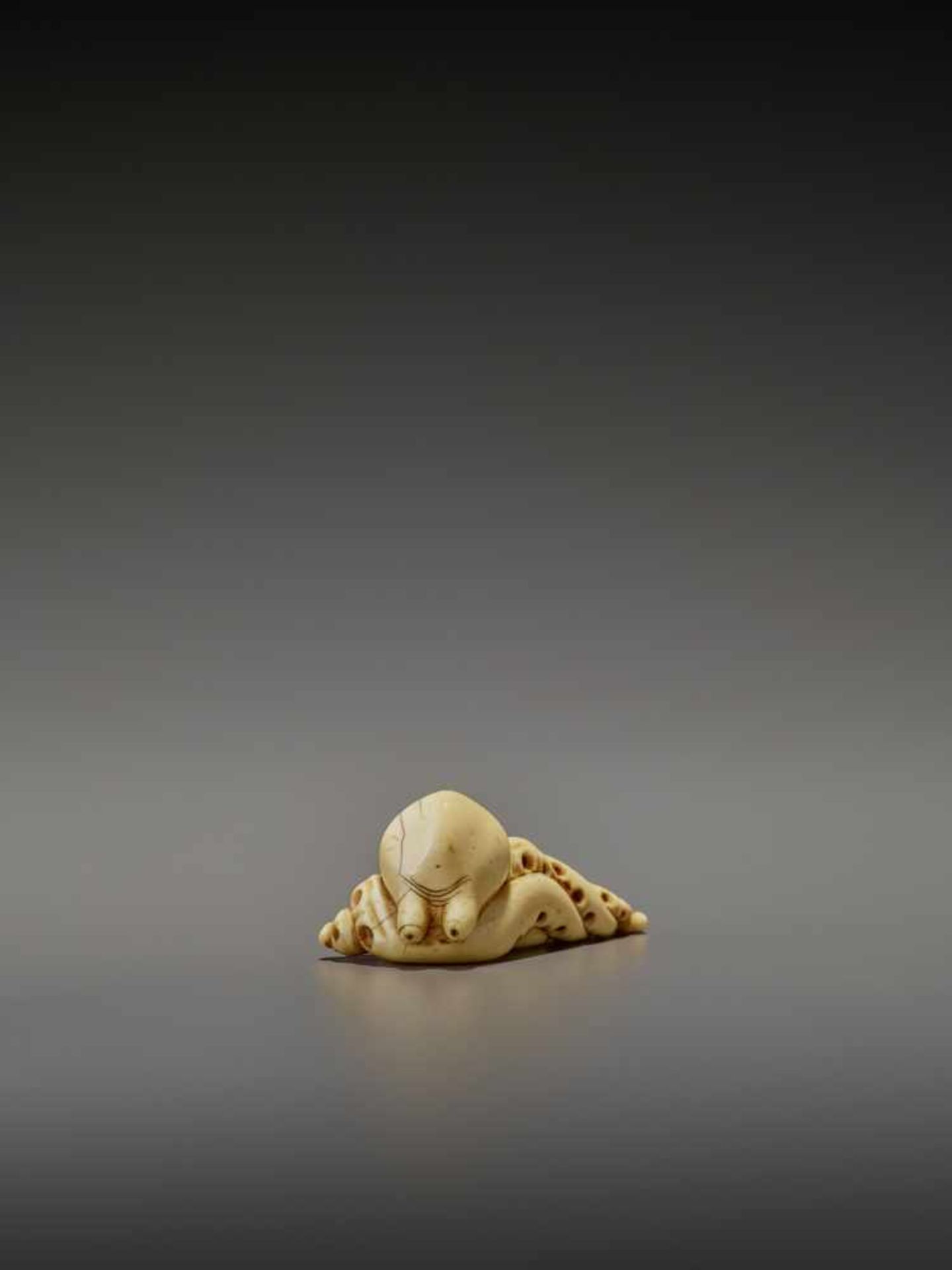 A RARE IVORY NETSUKE OF AN OCTOPUS UnsignedJapan, early 19th century, Edo period (1615-1868)The - Image 11 of 11