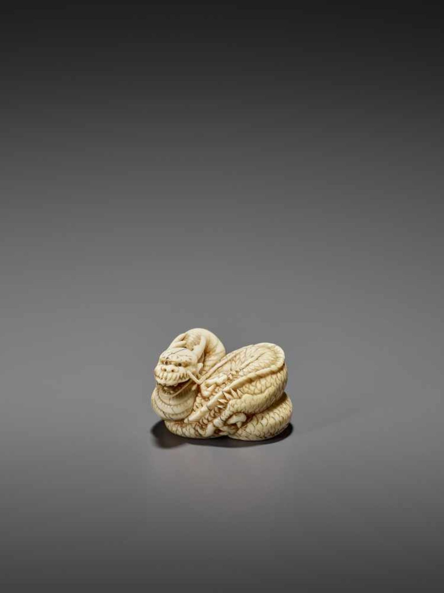 A GOOD IVORY NETSUKE OF A COILED DRAGON UnsignedJapan, Kyoto, late 18th to early 19th century, Edo - Bild 3 aus 10