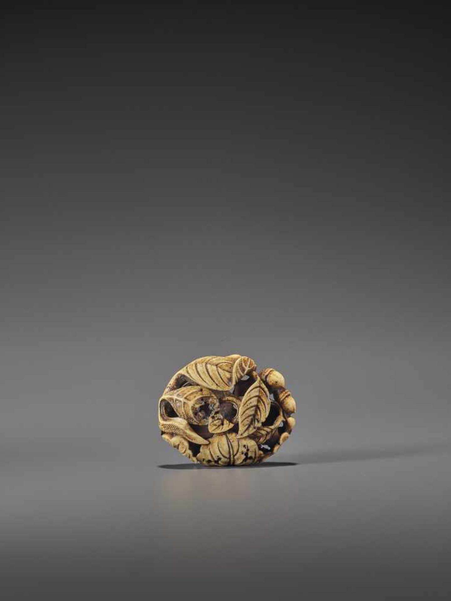 AN EXCELLENT MIXED METAL AND STAG ANTLER NETSUKE OF A SNAIL AND ACORNS UnsignedJapan, Asakusa, mid - Bild 2 aus 12