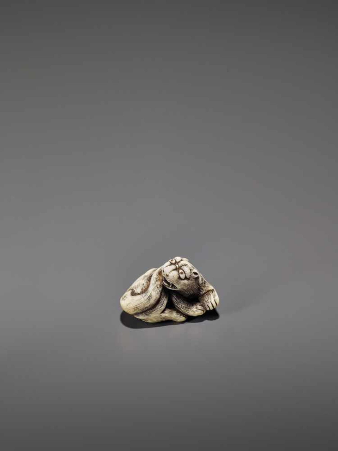 AN IVORY OSAKA STYLE NETSUKE OF A RECLINING TIGER UnsignedJapan, Osaka, 19th century, Edo period ( - Image 7 of 8