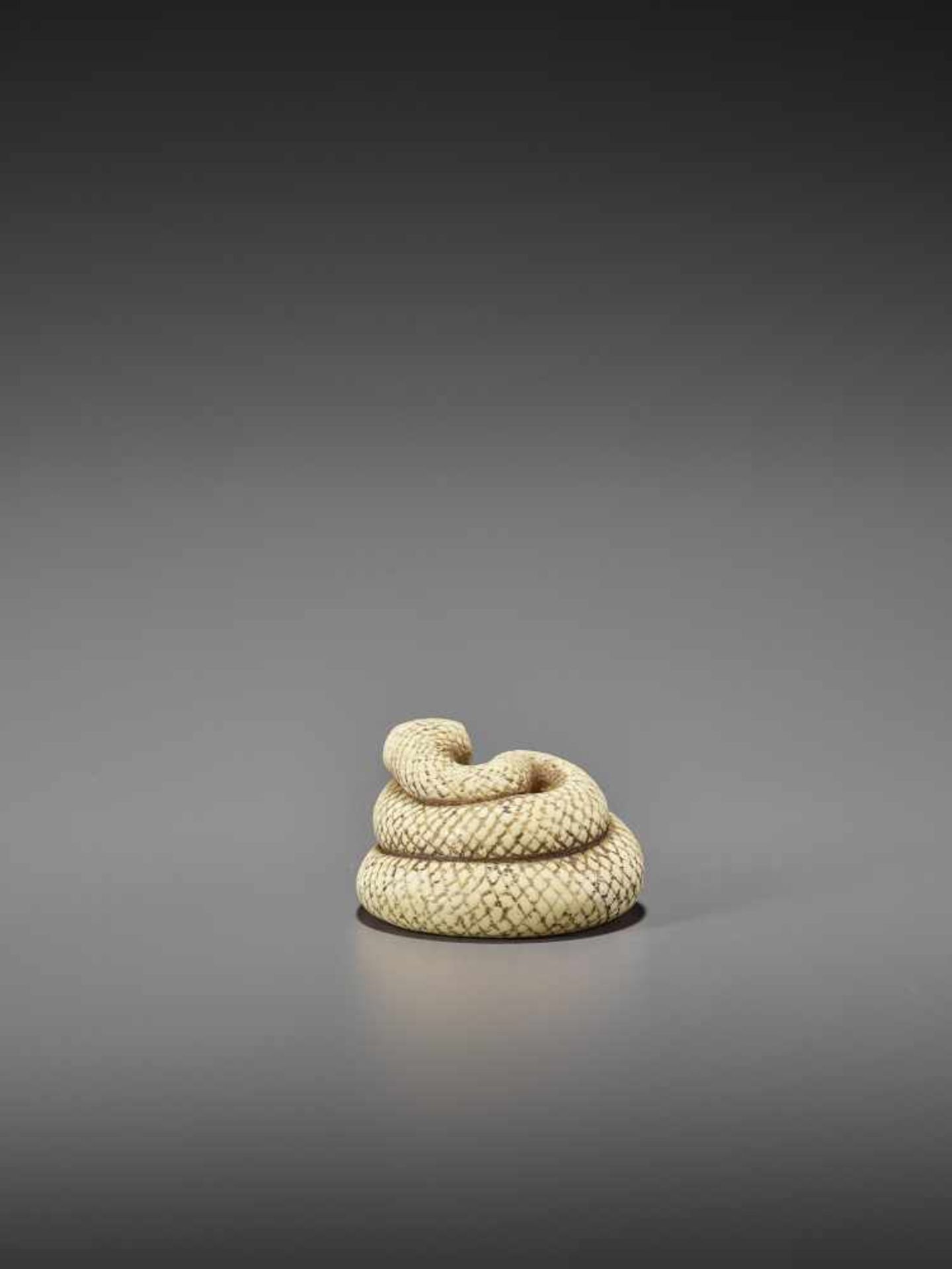 MITSUNAGA: AN EXCELLENT IVORY NETSUKE OF A COILED SNAKE By Mitsunaga, signed MitsunagaJapan, early - Image 6 of 9