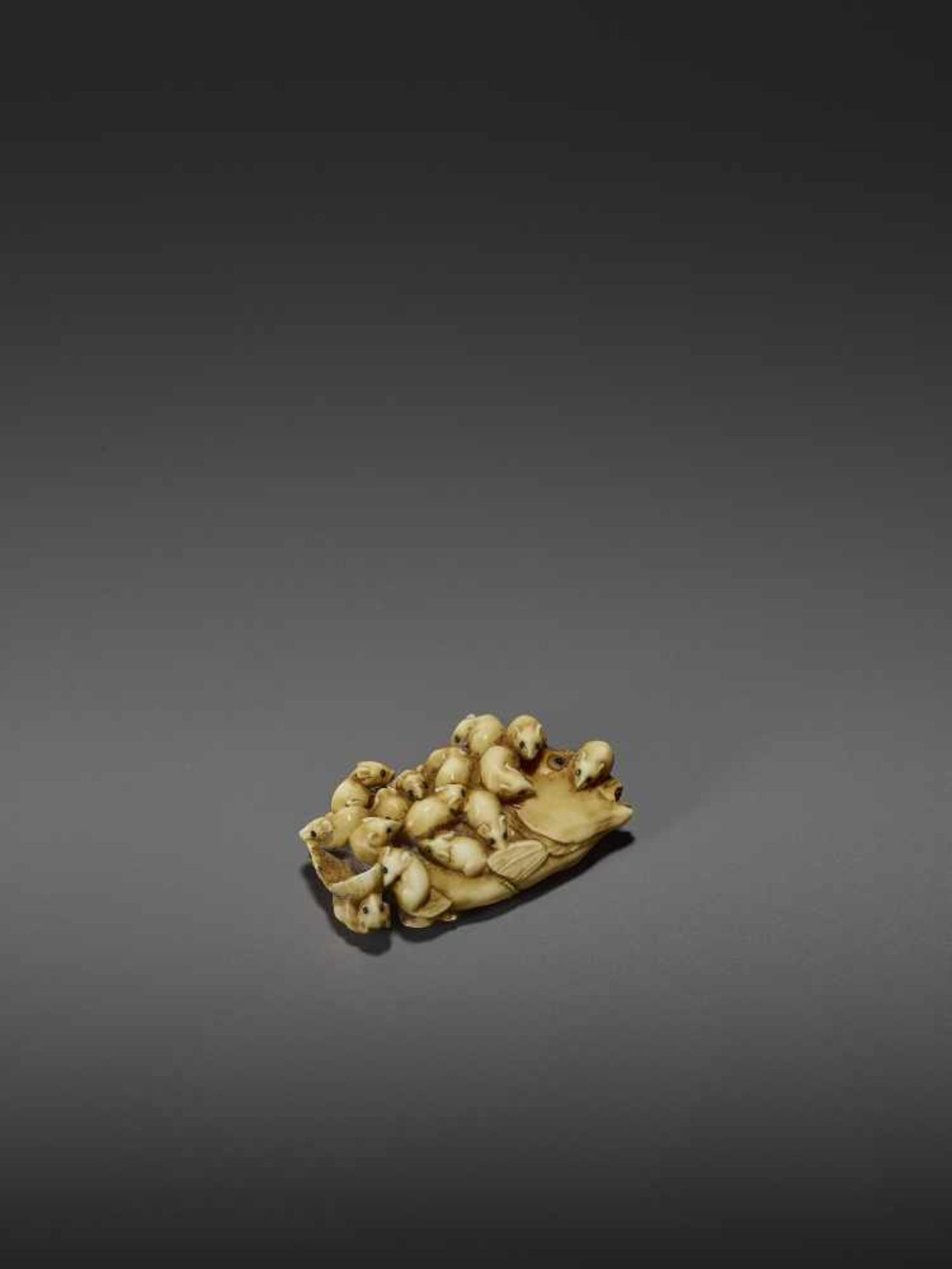 MASAMITSU: A FINE IVORY NETSUKE OF A SWARM OF RATS ON A SEA BREAM By Masamitsu, signed - Image 9 of 11