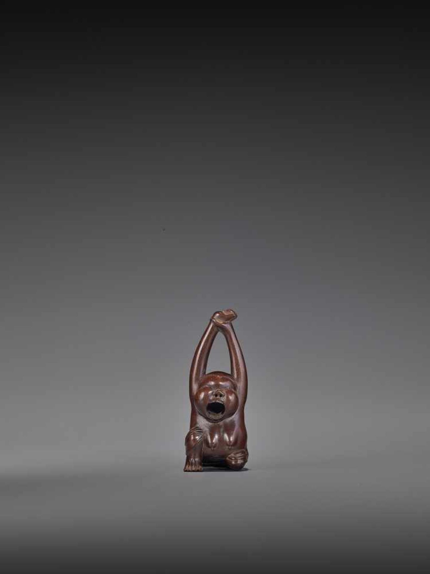 MASAKAZU: A FINE WOOD NETSUKE OF A YAWNING OKAME By Masakazu, signed MasakazuJapan, Gifu, 19th