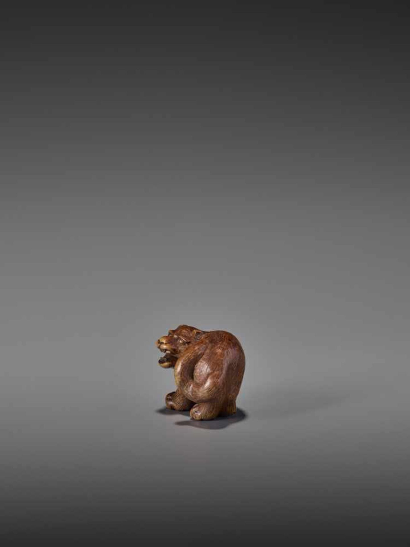 A RARE WOOD NETSUKE OF A SNARLING TIGER UnsignedJapan, 19th century, Edo period (1615-1868)A compact - Image 4 of 11