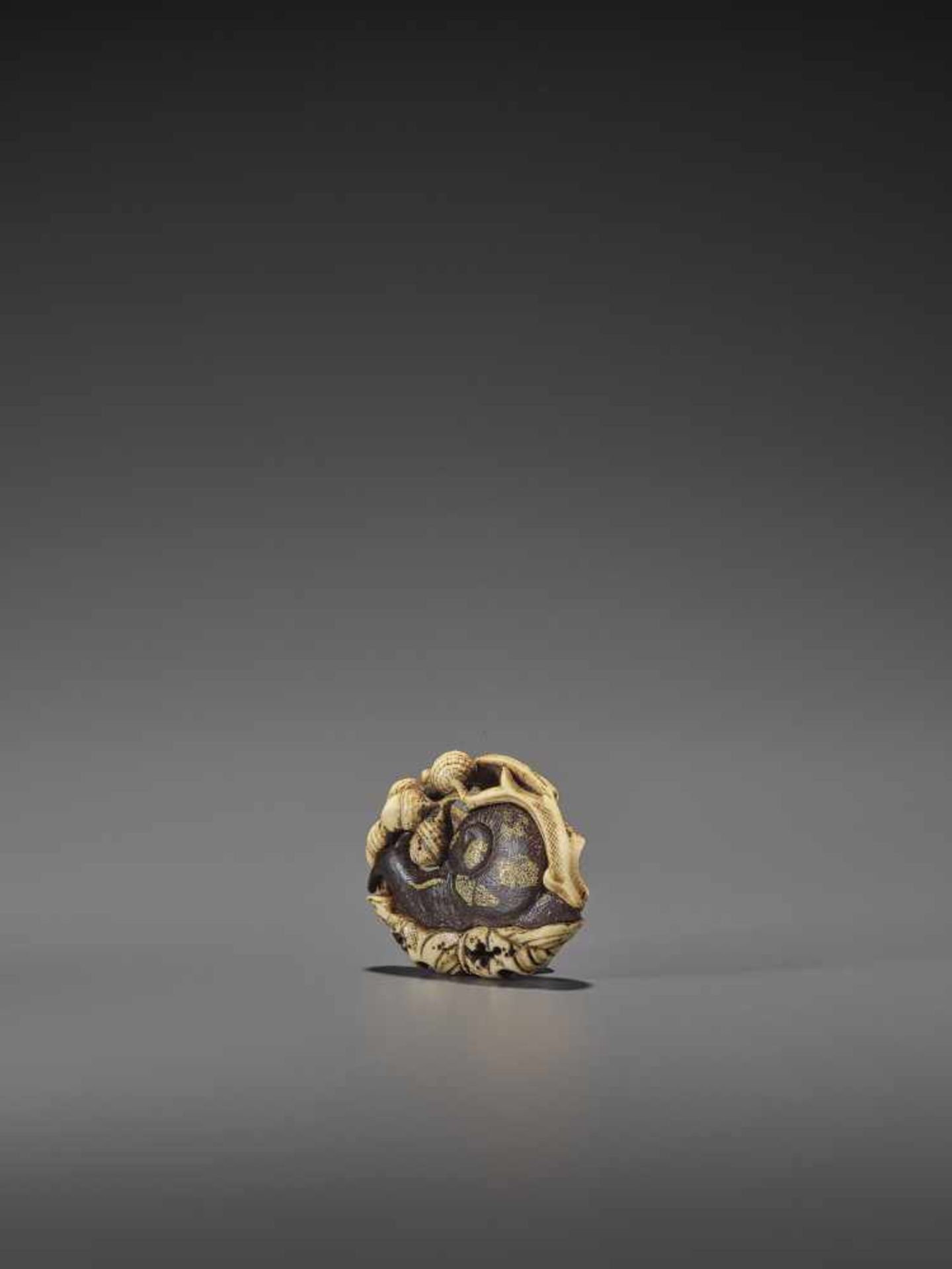 AN EXCELLENT MIXED METAL AND STAG ANTLER NETSUKE OF A SNAIL AND ACORNS UnsignedJapan, Asakusa, mid - Image 4 of 12