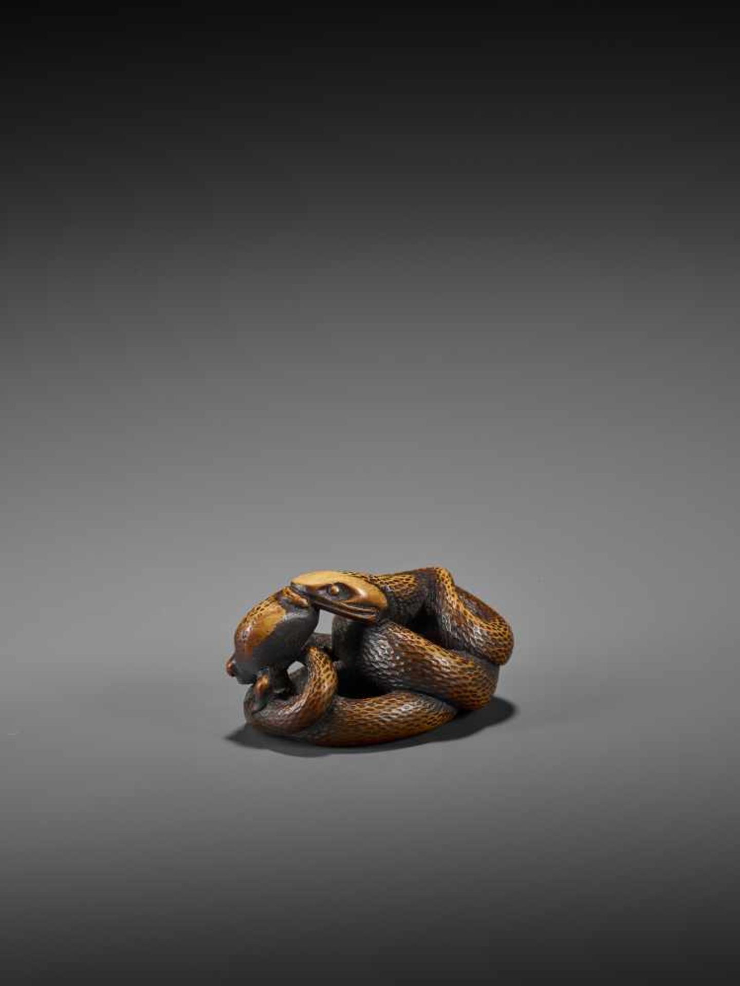 AN EXCELLENT WOOD NETSUKE OF A FROG WITH SNAKE, SANSUKUMI UnsignedJapan, late 18th century, Edo - Image 7 of 9