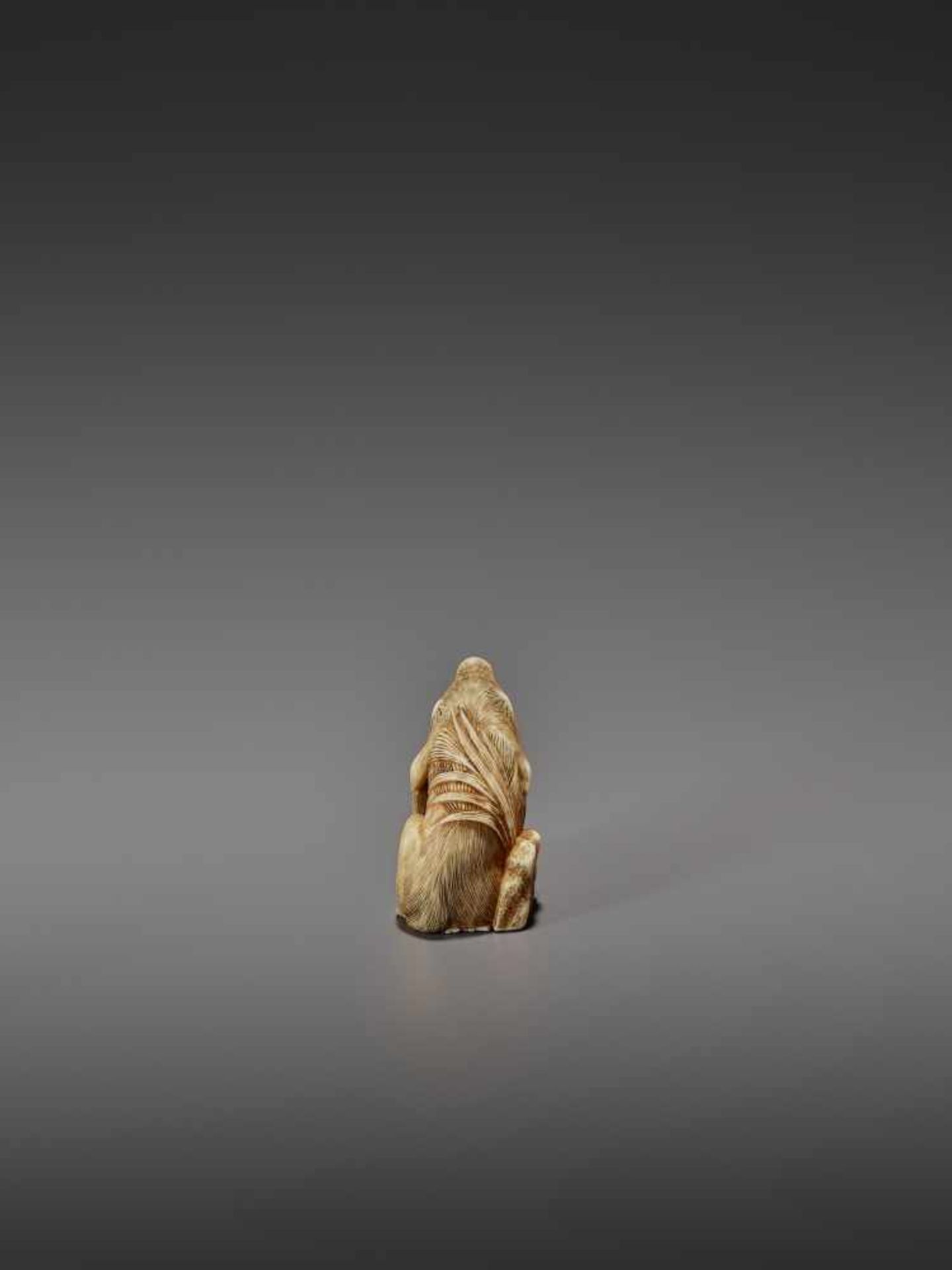 MASAYUKI: A FINE IVORY NETSUKE OF A BOAR SCRATCHING ITS EAR By Masayuki, signed MasayukiJapan, - Image 6 of 13