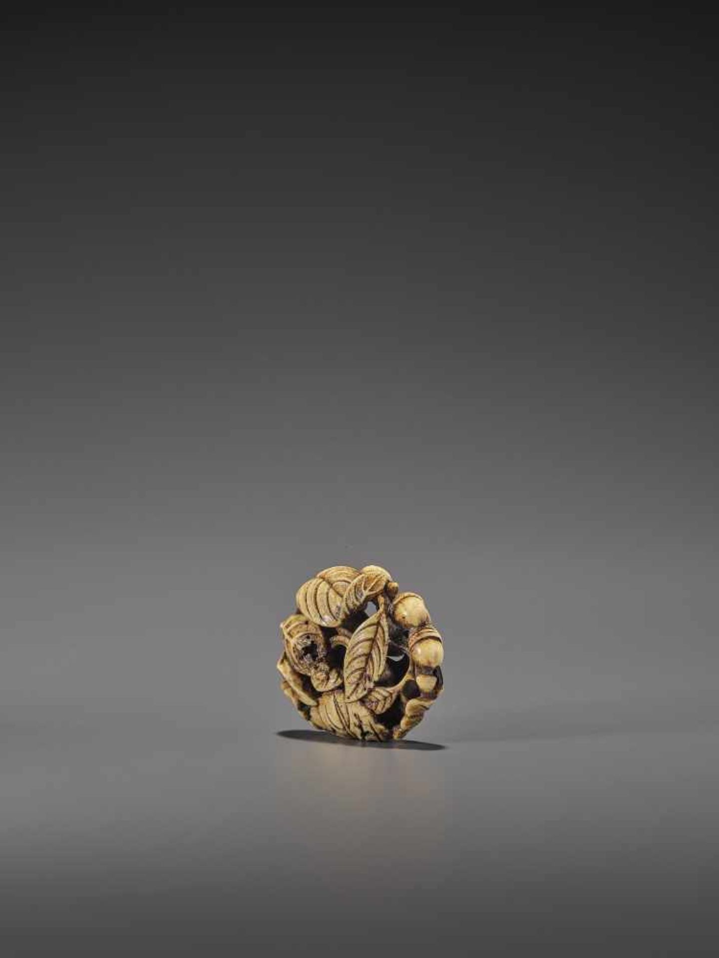 AN EXCELLENT MIXED METAL AND STAG ANTLER NETSUKE OF A SNAIL AND ACORNS UnsignedJapan, Asakusa, mid - Image 7 of 12