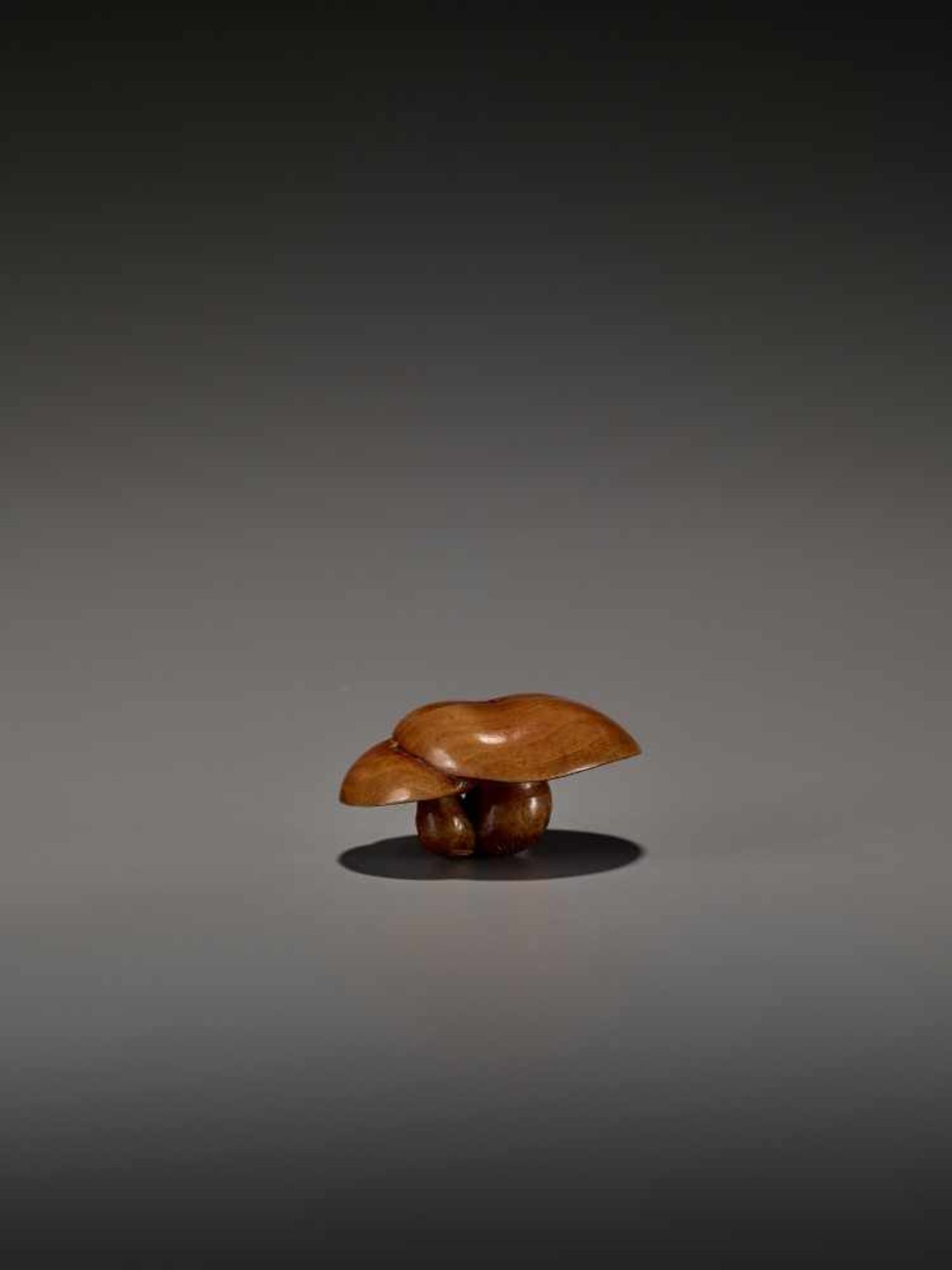 A FINE WOOD NETSUKE OF THREE MUSHROOMS UnsignedJapan, probably Nagoya, early 19th century, Edo - Bild 5 aus 7