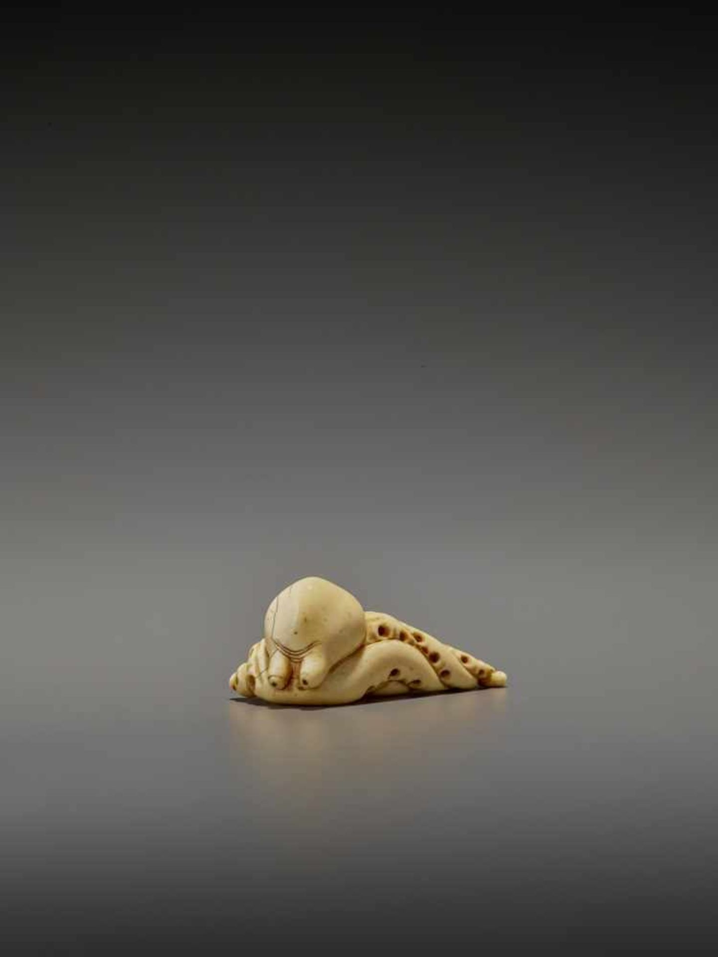 A RARE IVORY NETSUKE OF AN OCTOPUS UnsignedJapan, early 19th century, Edo period (1615-1868)The - Image 3 of 11