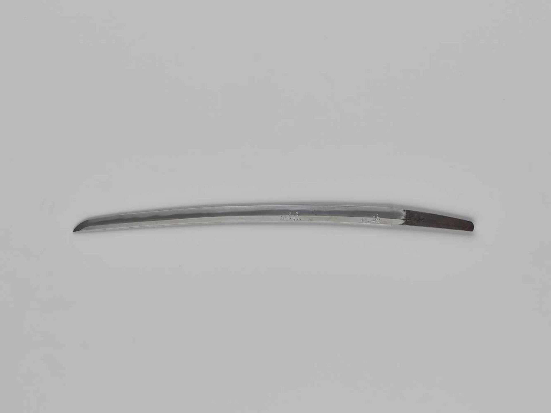 NORIMITSU: A WAKIZASHI WITH HORIMONO IN KOSHIRAE By Norimitsu, signed Washu ju Norimitsu - Image 5 of 16