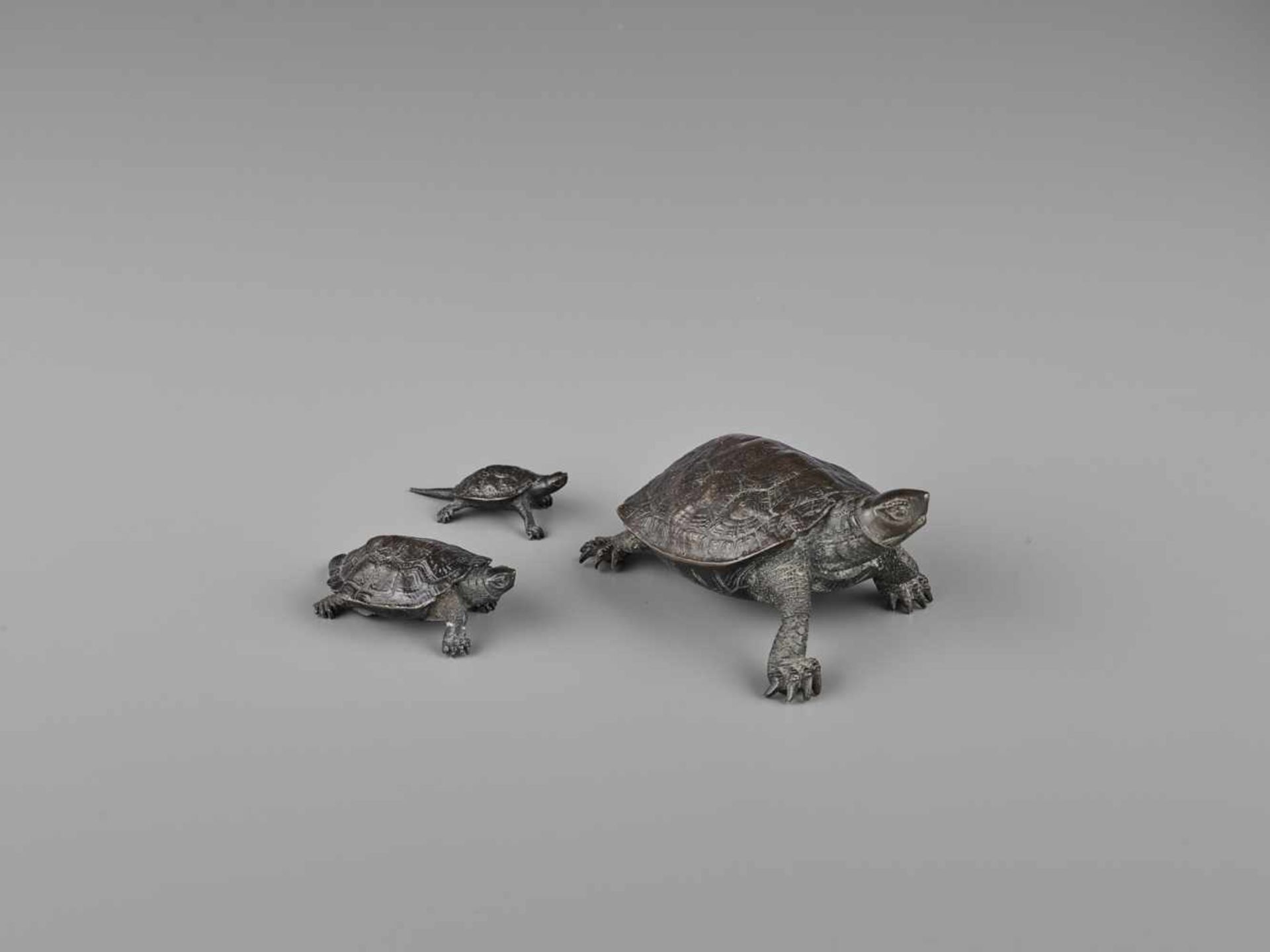 A BRONZE GROUP OF THREE TORTOISES The largest signed Tsunemitsu, the second largest signed - Bild 7 aus 11