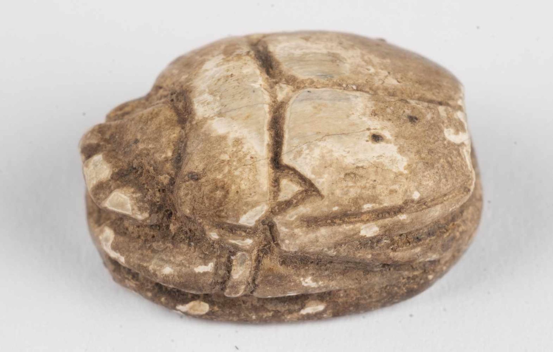 SkarabäusÄgypten, Neues Reich bis Spätzeit (ab 1550 v. Chr.)Steatit, hell-gräulichBreite: 10 mm,
