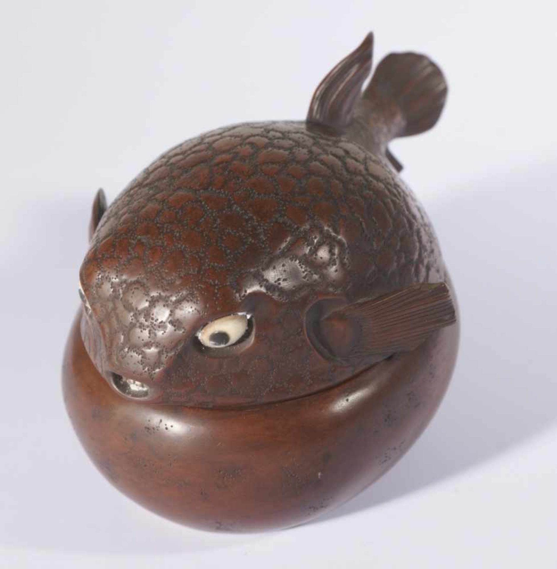 Box in form of a puffer fish, Japan, red-brown wood, around 1900, 20,5 cm long,