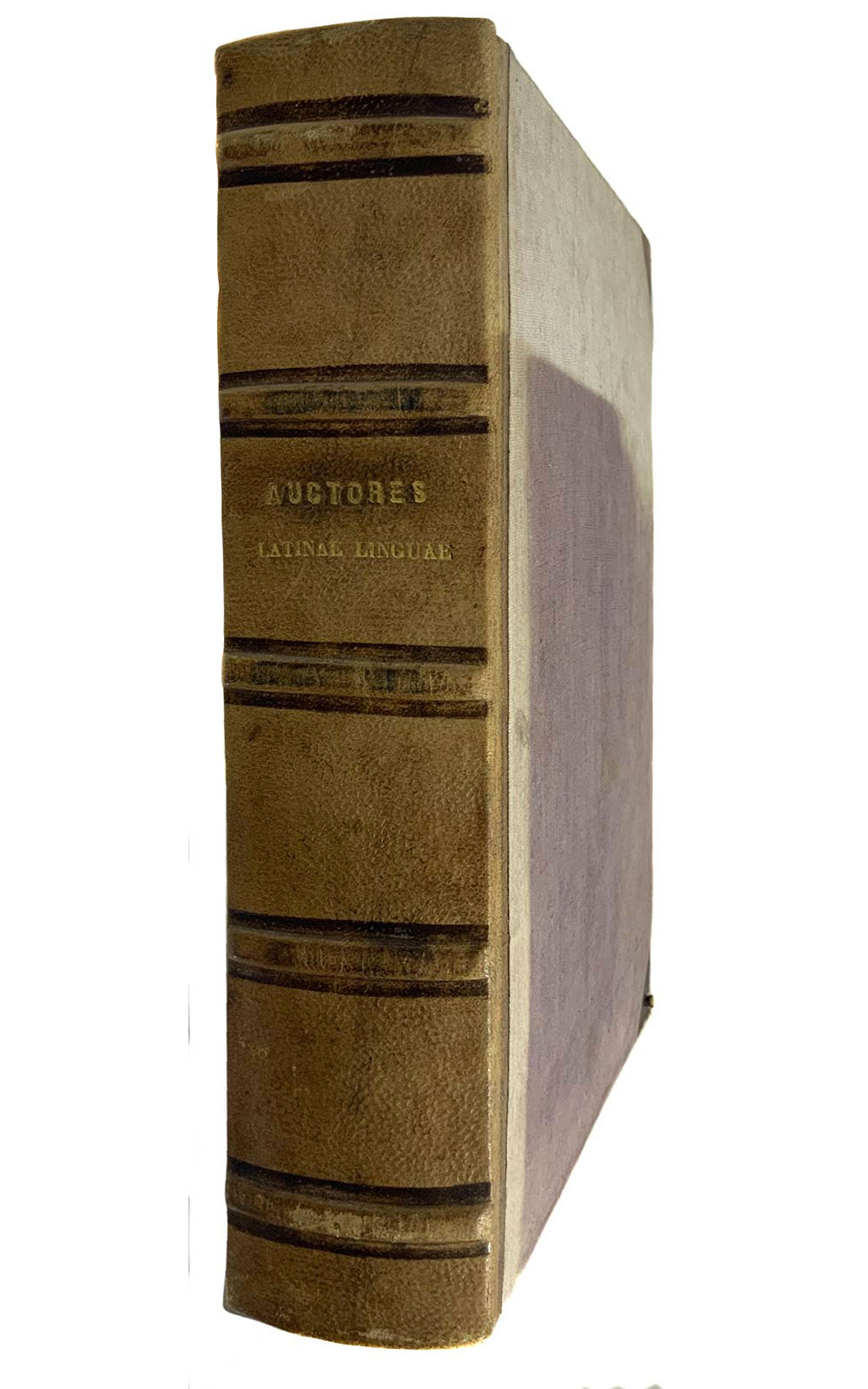 Gothofredus Dionysius, Auctores Latinae linguae in unum redacti corpus. M. Terentius Varro De - Image 3 of 4