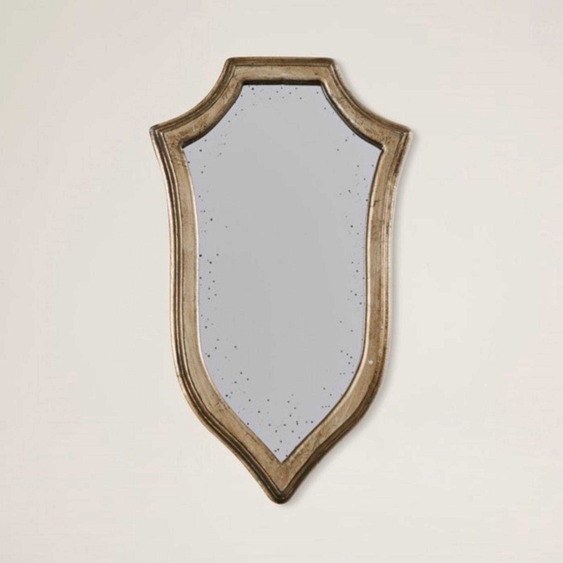 Lily Manor Lauier Accent Mirror (LAKM1468 - 10916/18) 1I