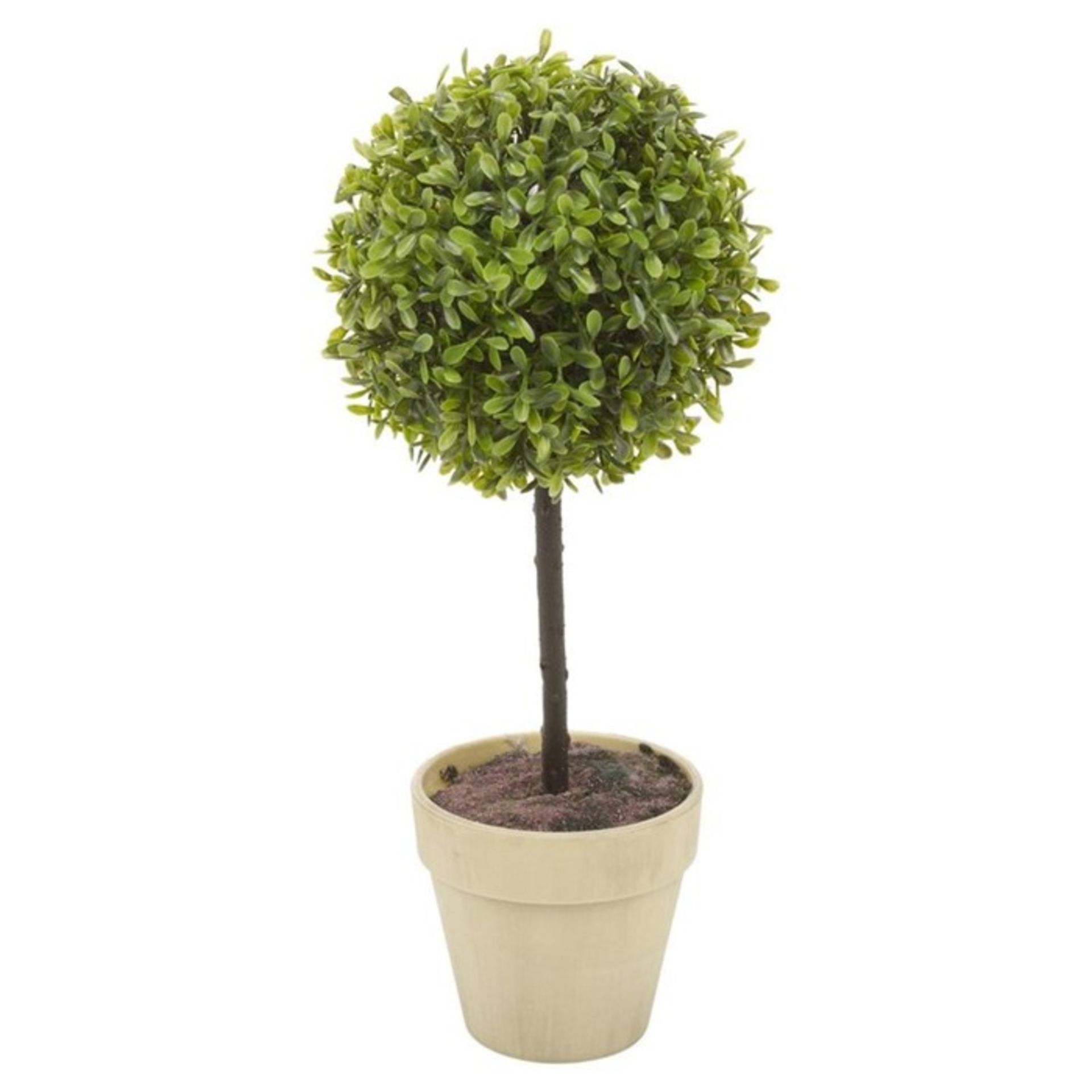 Brambly Cottage Artificial Boxwood Plant in Planter (WLDK3654 - 13671/39) 2I