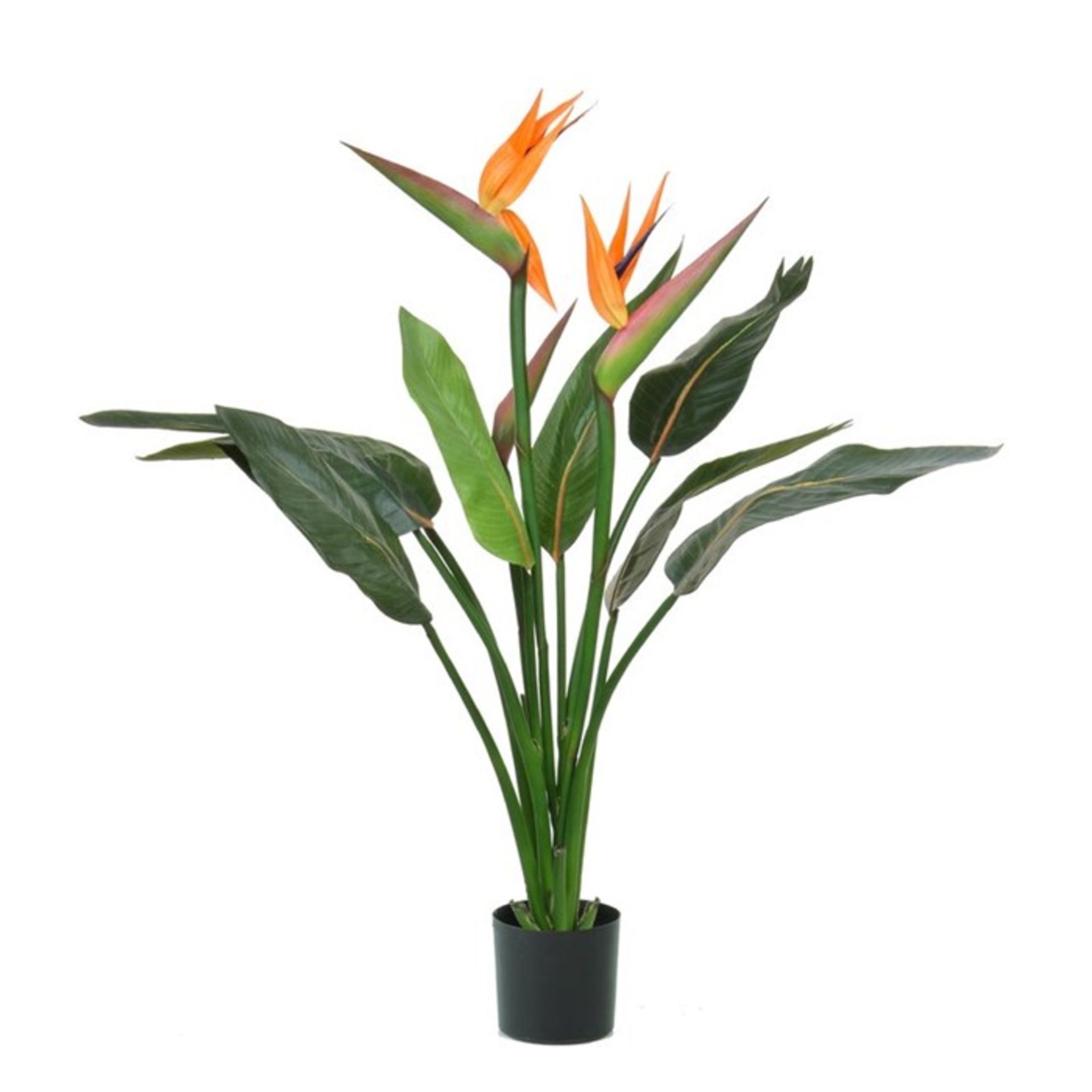 Bay Isle Home Artificial Bird of Paradise Flowering Plant (TELT1006 - 14764/6) 3A