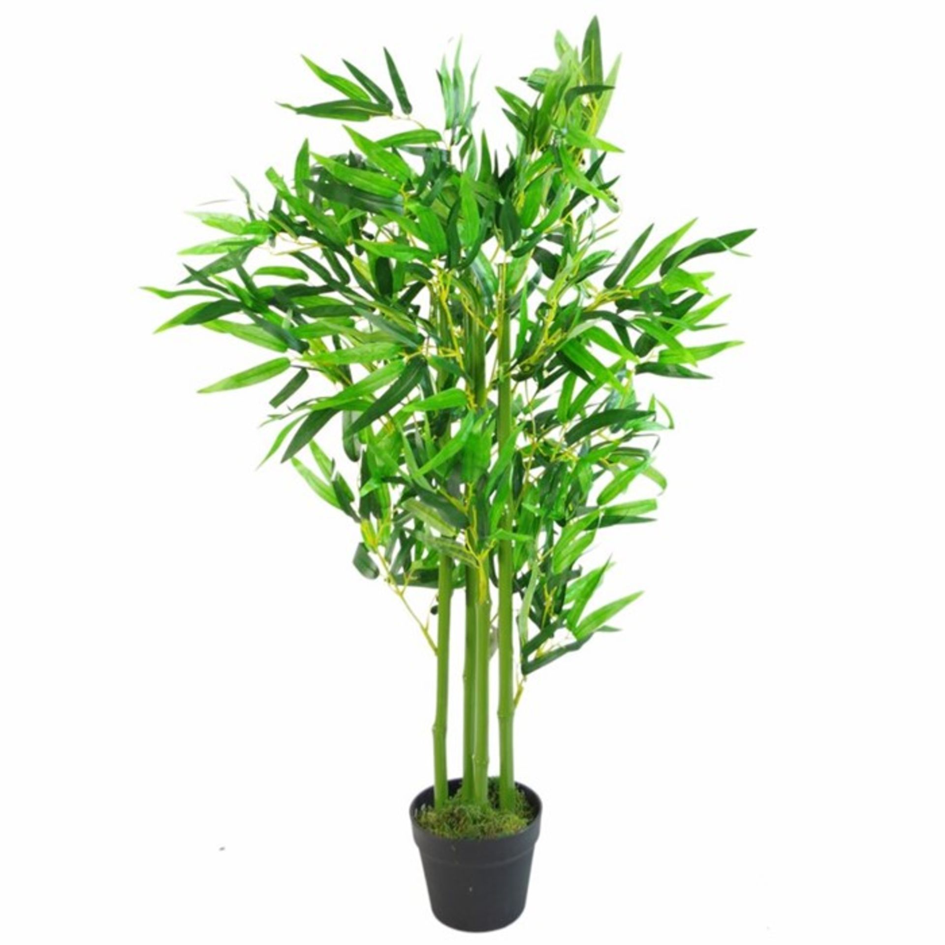 The Seasonal Aisle Bamboo Tree (155x33x16cm) (LEAX1048 - 14611/38) 1G