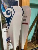 2no. BIC Sport Paddles, white / blue used. Collection Strictly 09:30 to 18:30 - Wednesday 20