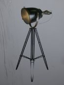 Boxed Autumn Floor Lamp RRP £250