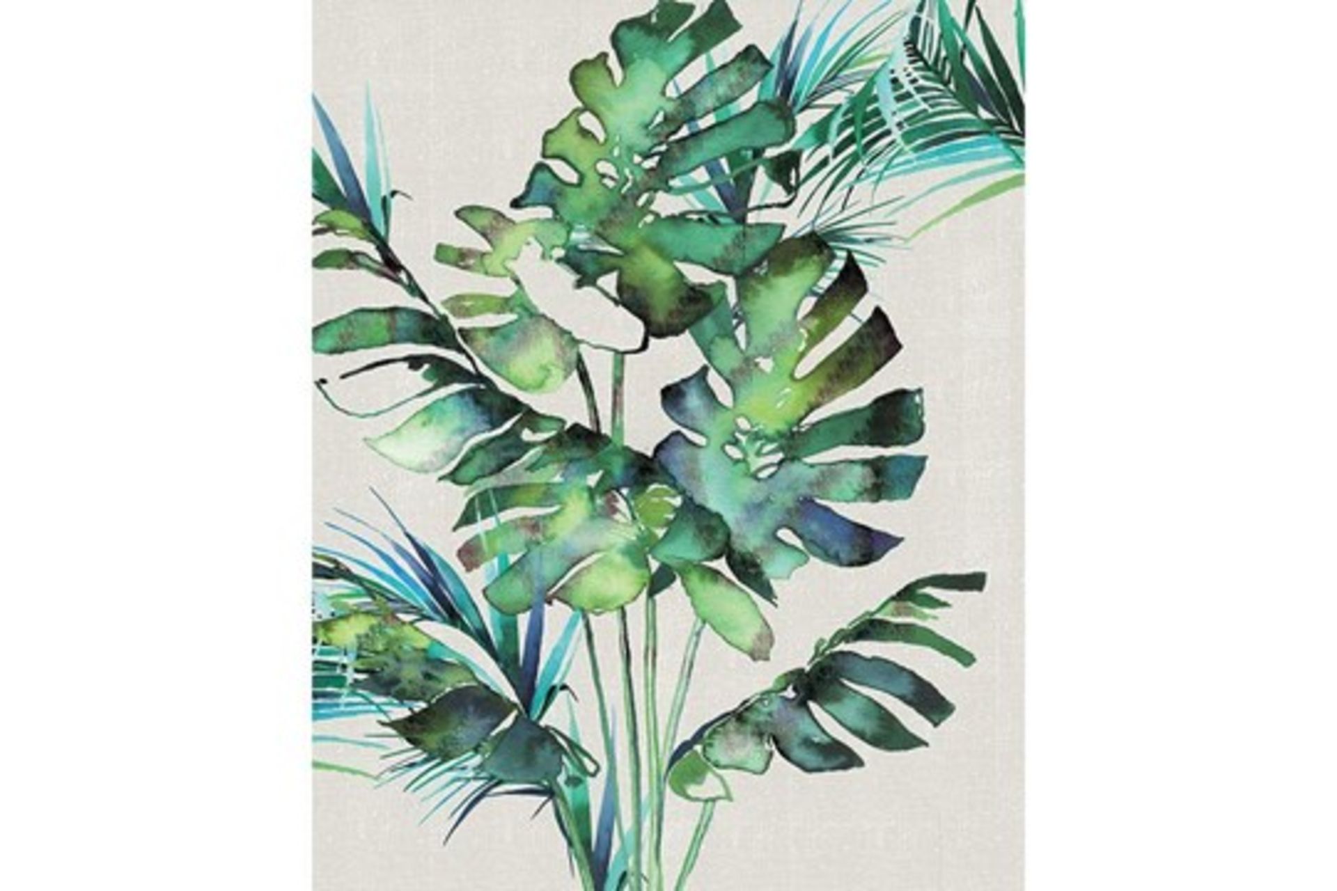 Boxed Monstera Leaves By The Art Group Canvas Wall Art (8435)(ARTG6757) RRP £25