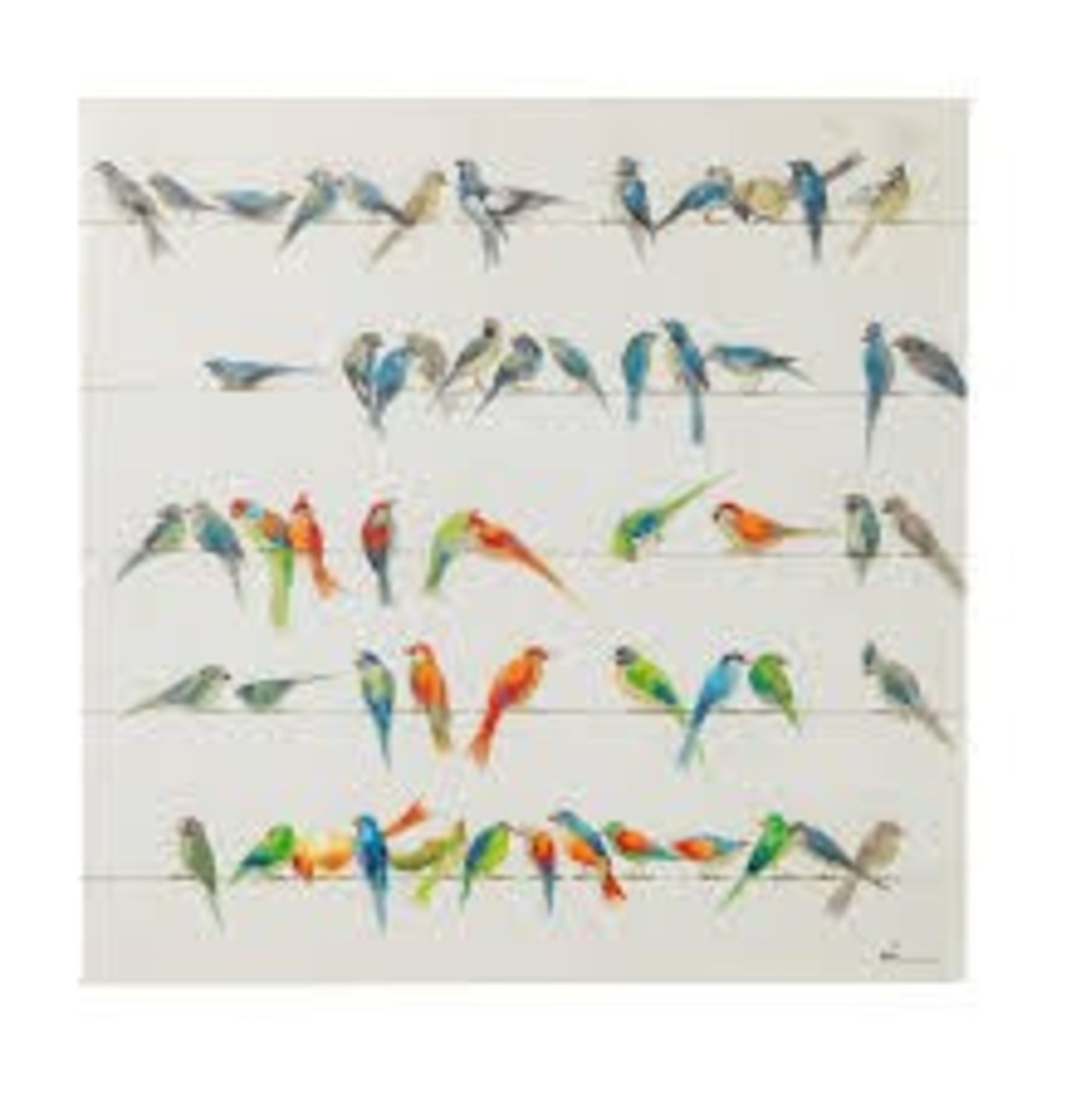 Boxed Care Design Gallery Touched Meeting Birds Canvas Wall Art Picture (11569)(LBHD1191) RRP £120