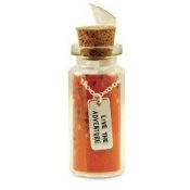 Box Containing 48 Brand New and Sealed Everything is Possible Message in a Bottle Gift Necklaces (