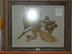 Boxed Set of 4 Uttermost Floral Framed Wall Art Pictures RRP £145 (DHON1814)(10727)