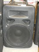 Ekho Sound PL15A Speaker RRP£240