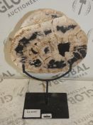 West Elm Hand Crafted Petrified Wood on a Stand Decorative Art Piece